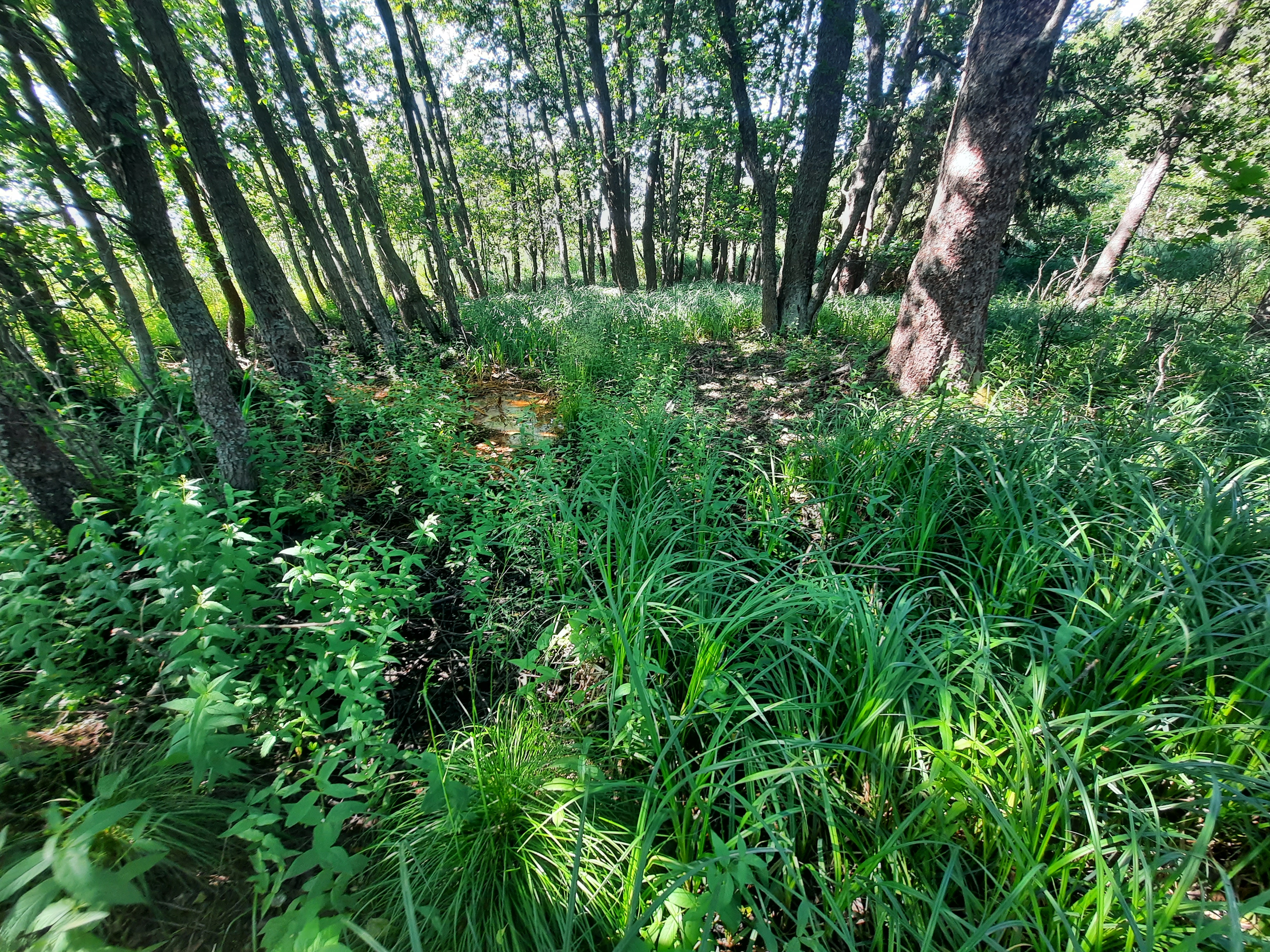 Kuva kohteesta v. 2022