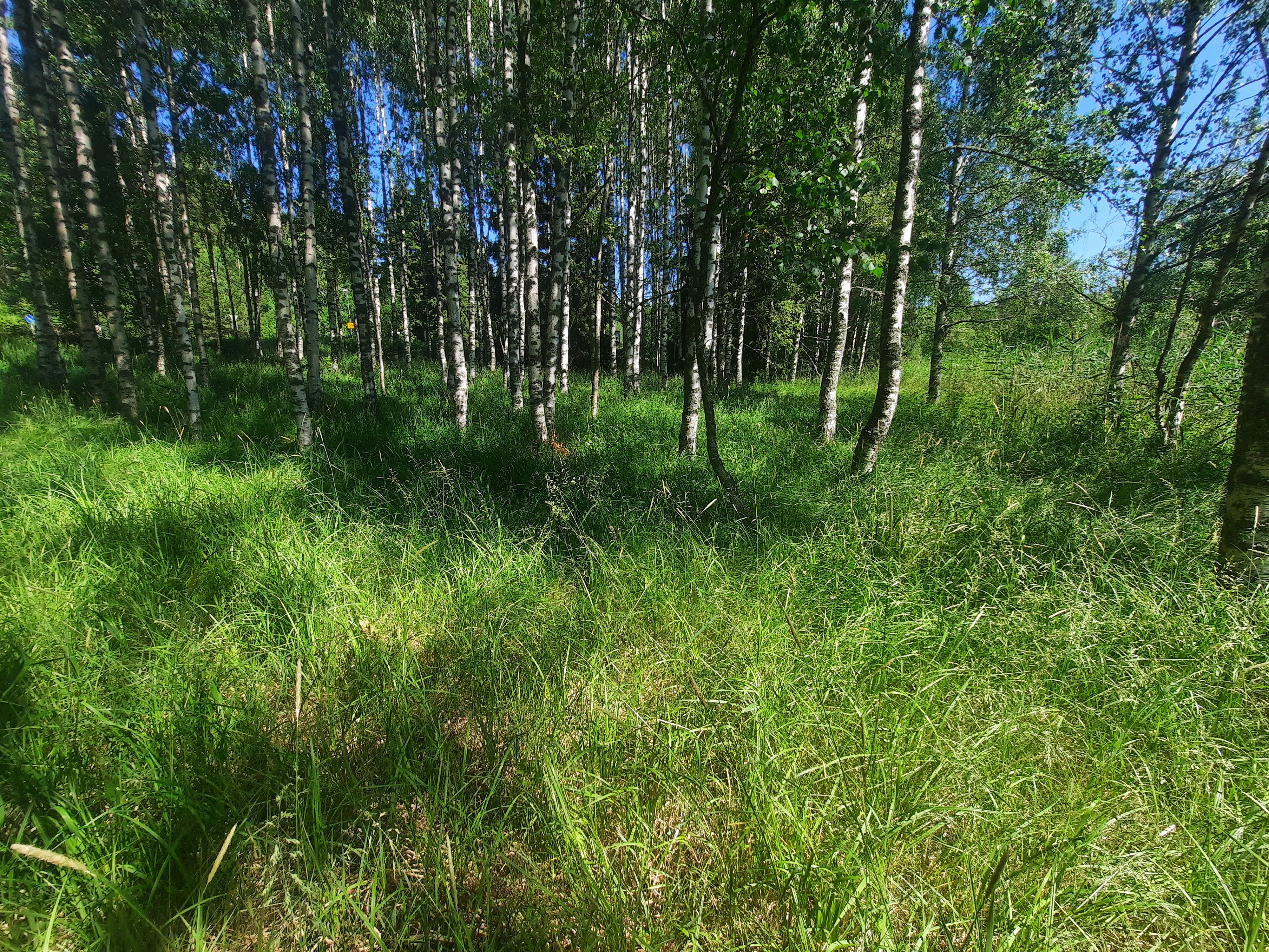 Kuva kohteesta v. 2022