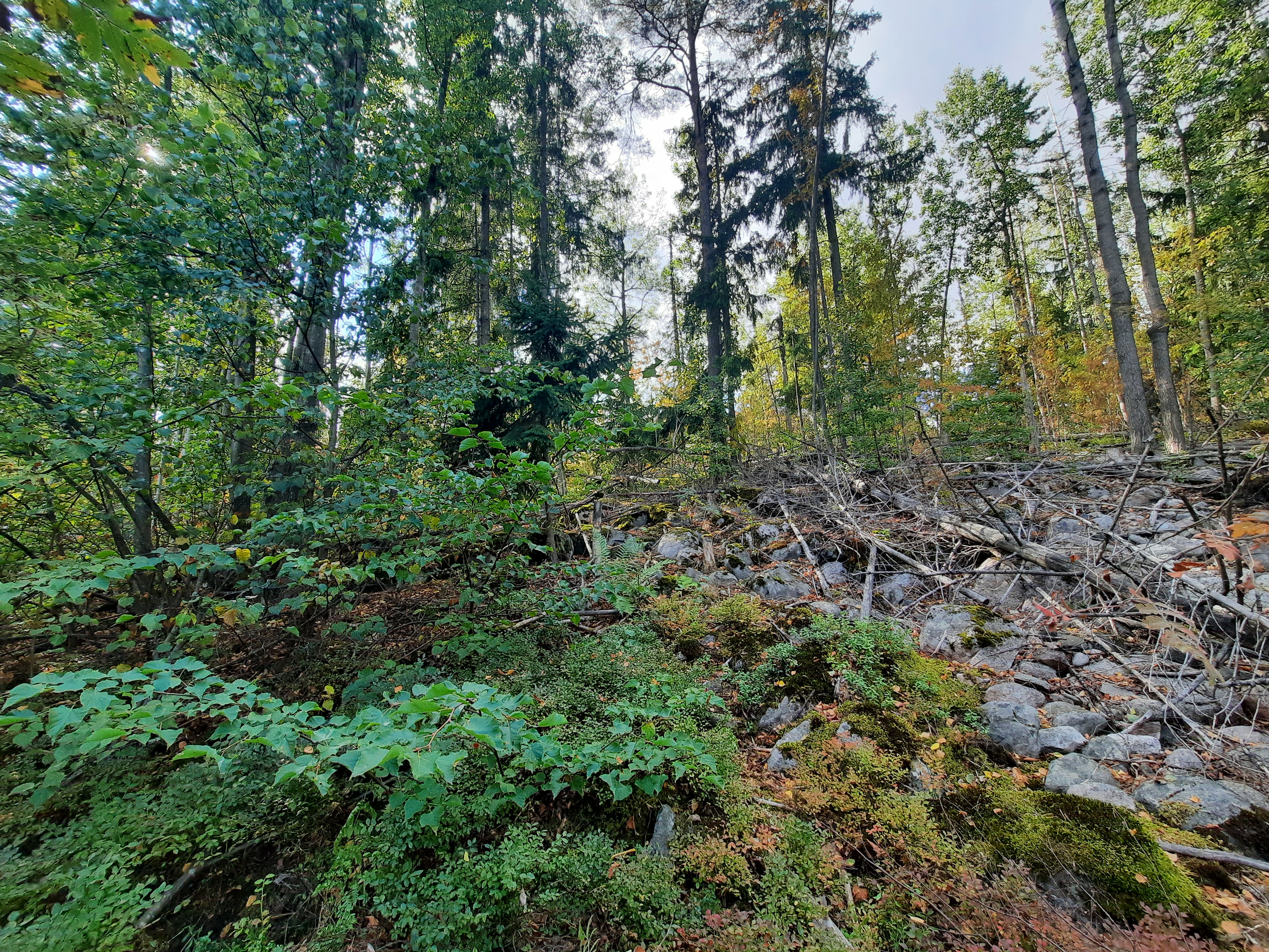 Kuva kohteesta v. 2022