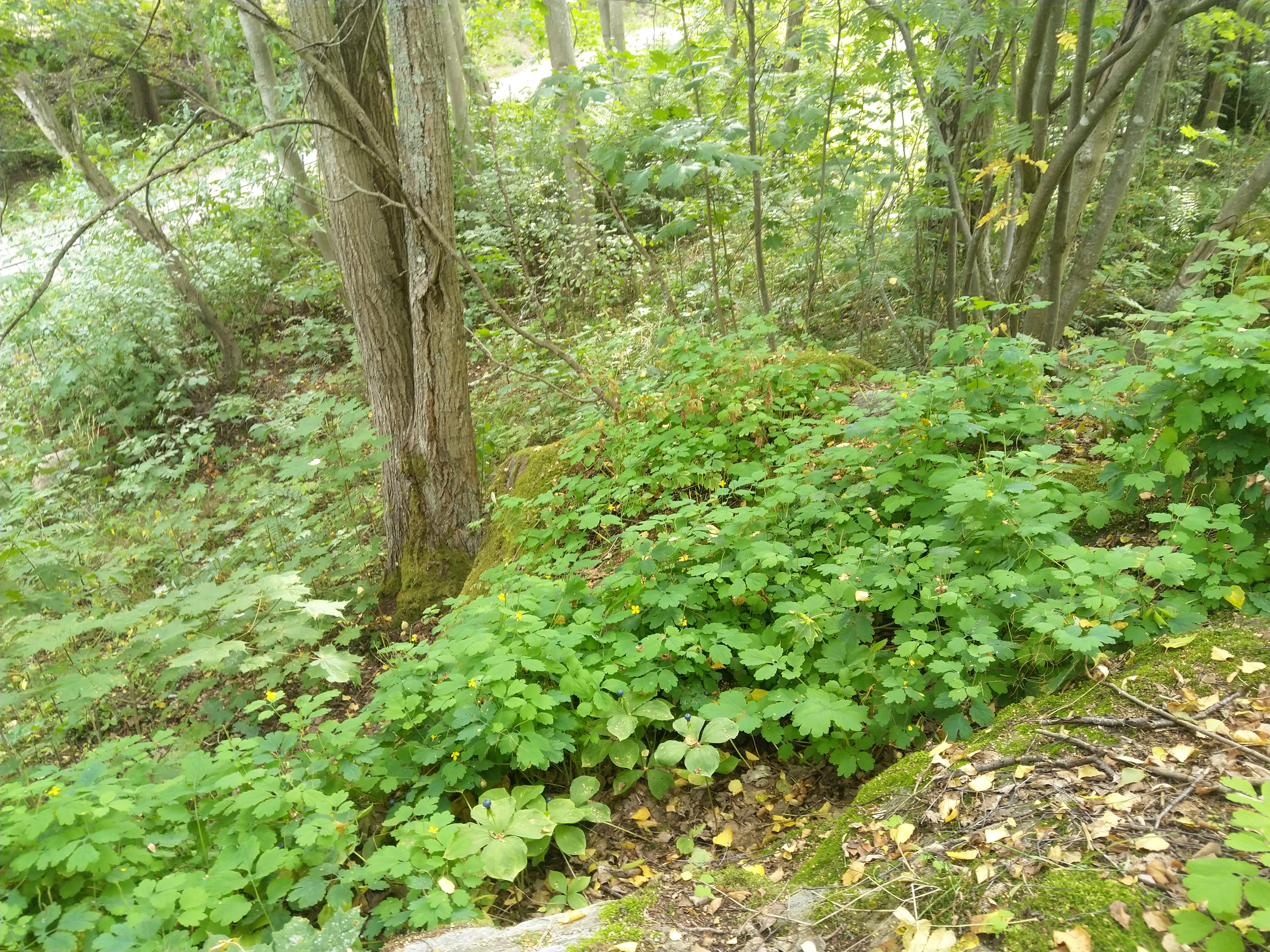 Kuva kohteesta v. 2022