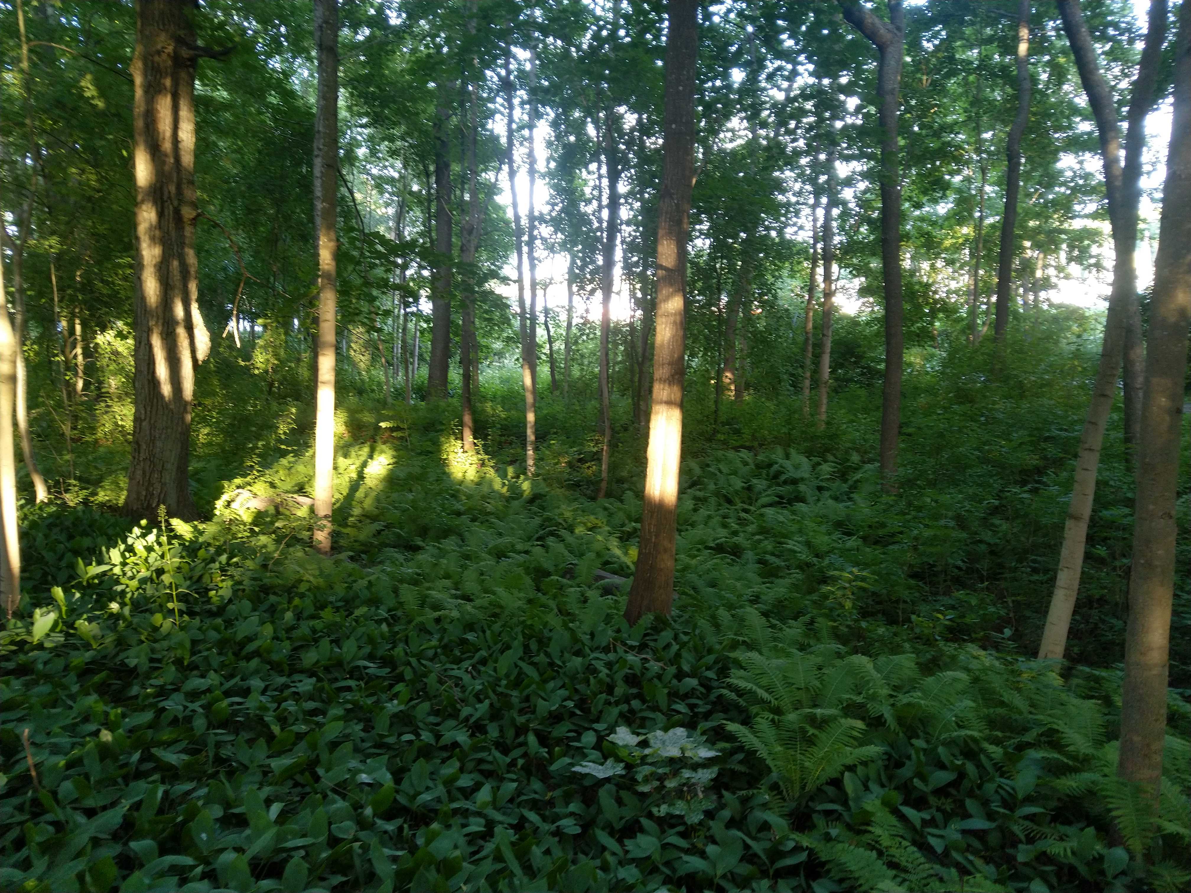 Kuva kohteesta v. 2022