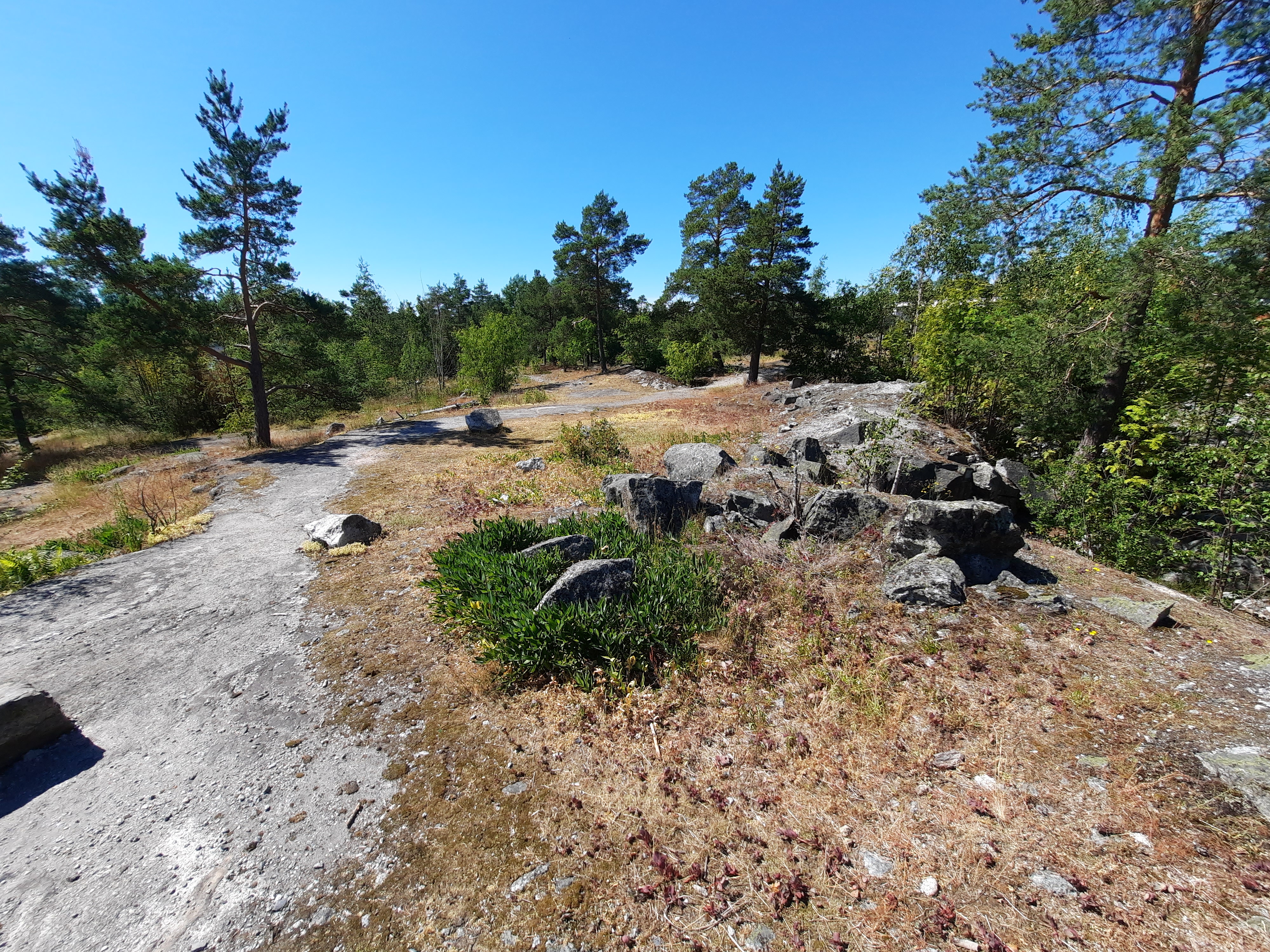 Kuva kohteesta v. 2022