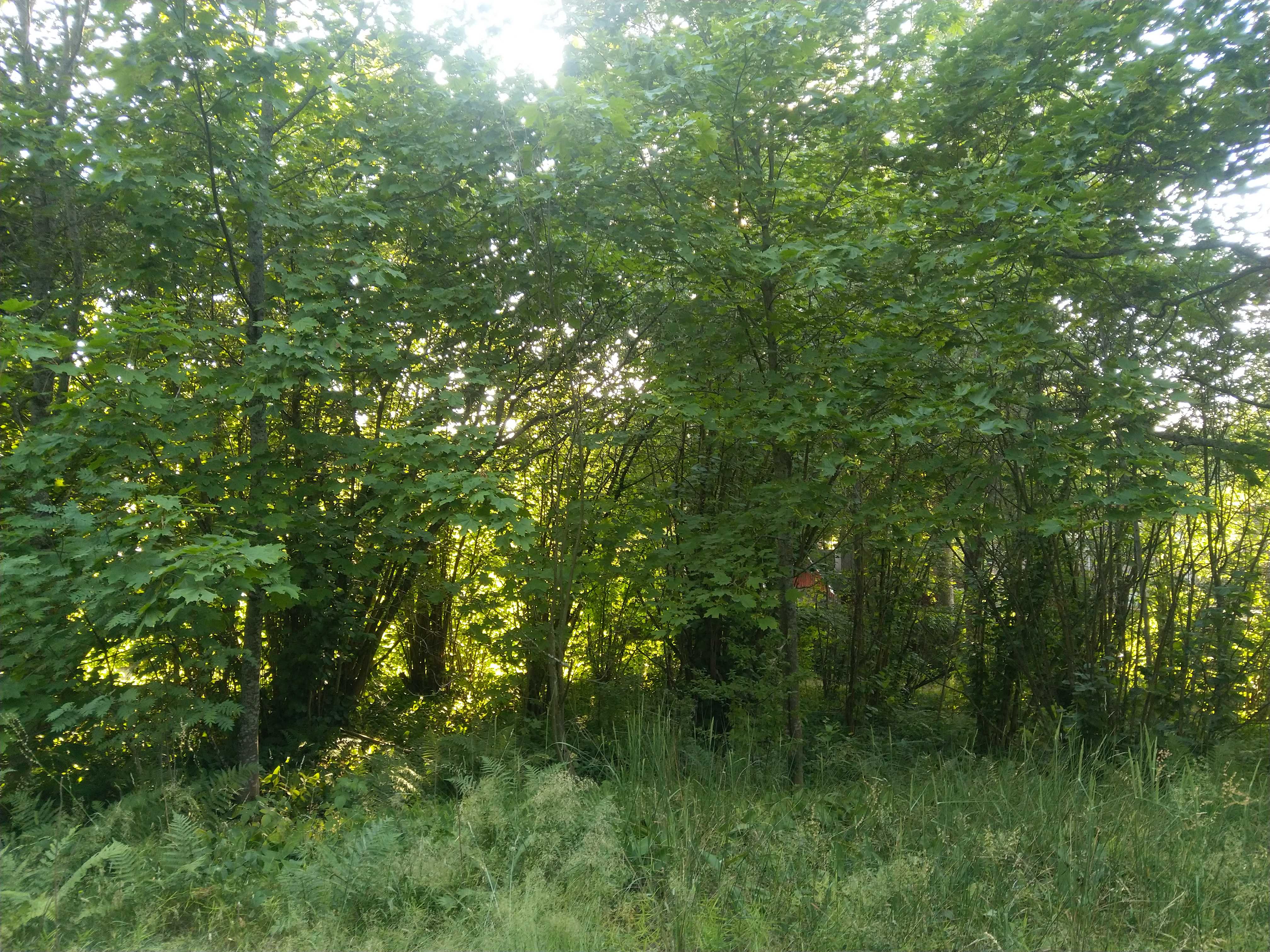 Kuva kohteesta v. 2022