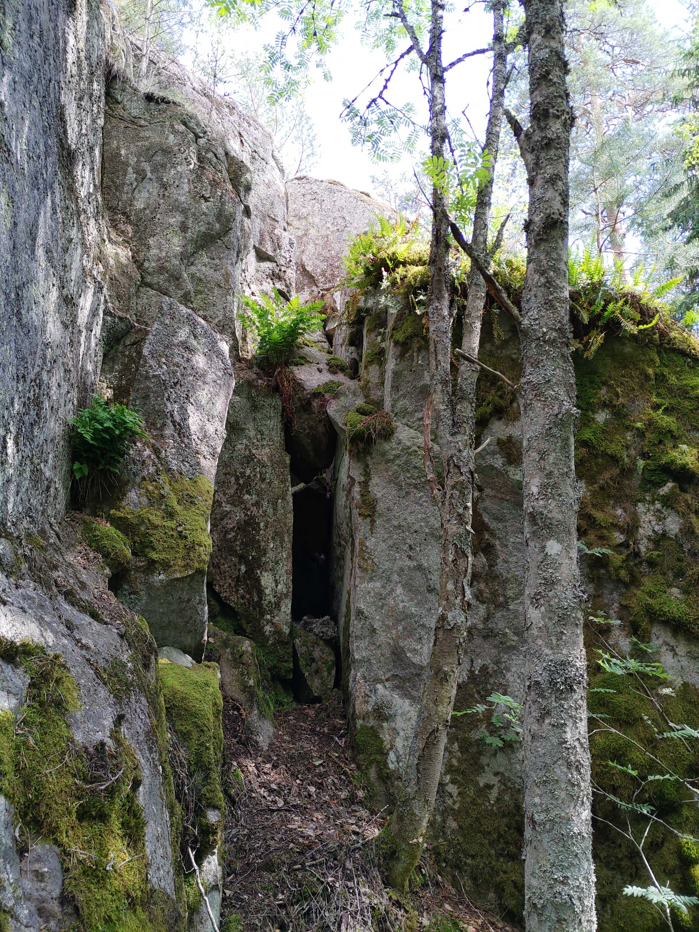 Kuva kohteesta v. 2022