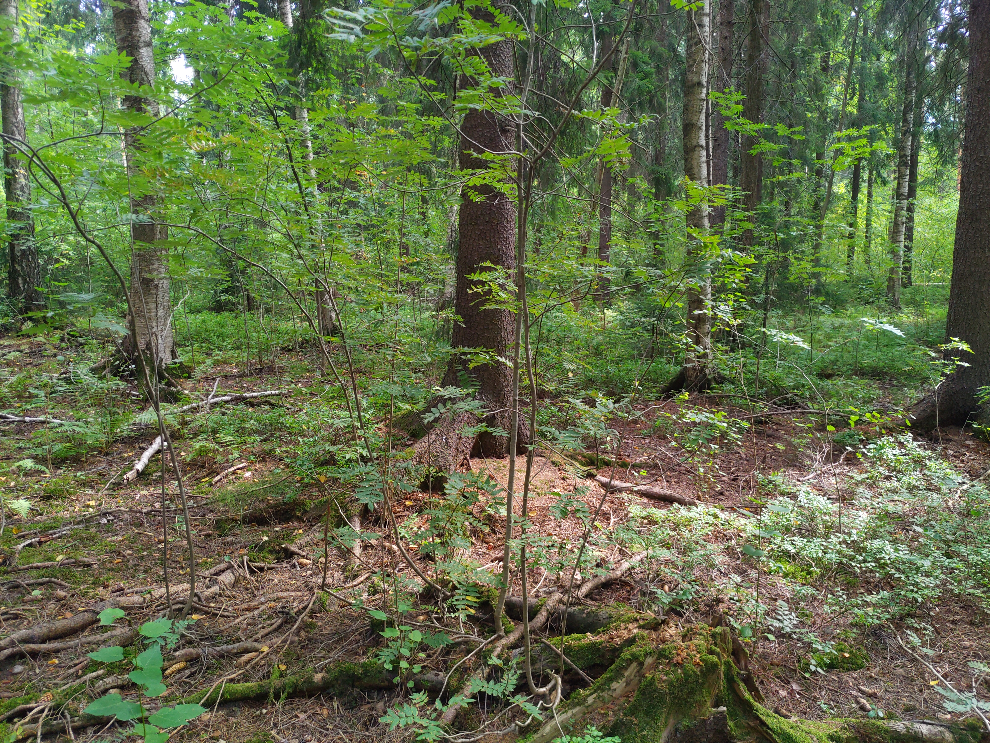 Kuva kohteesta v. 2022