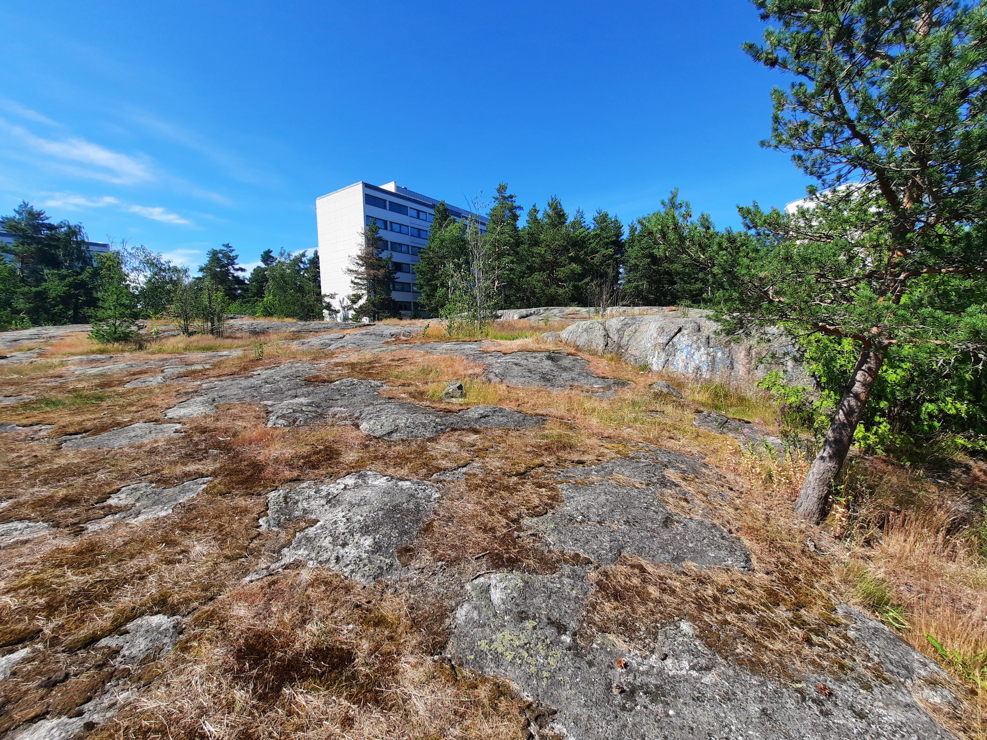 Kuva kohteesta v. 2022