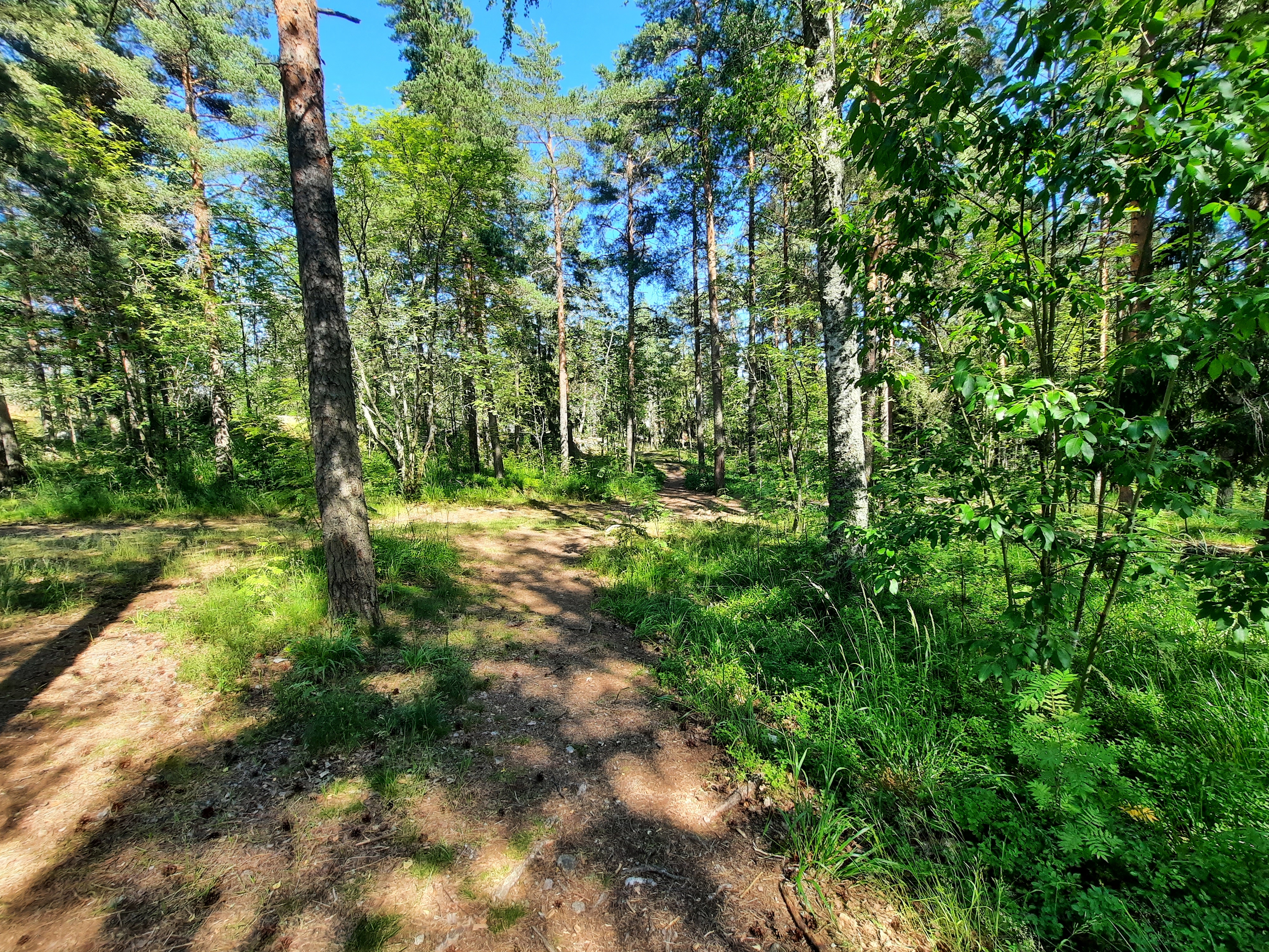 Kuva kohteesta v. 2022