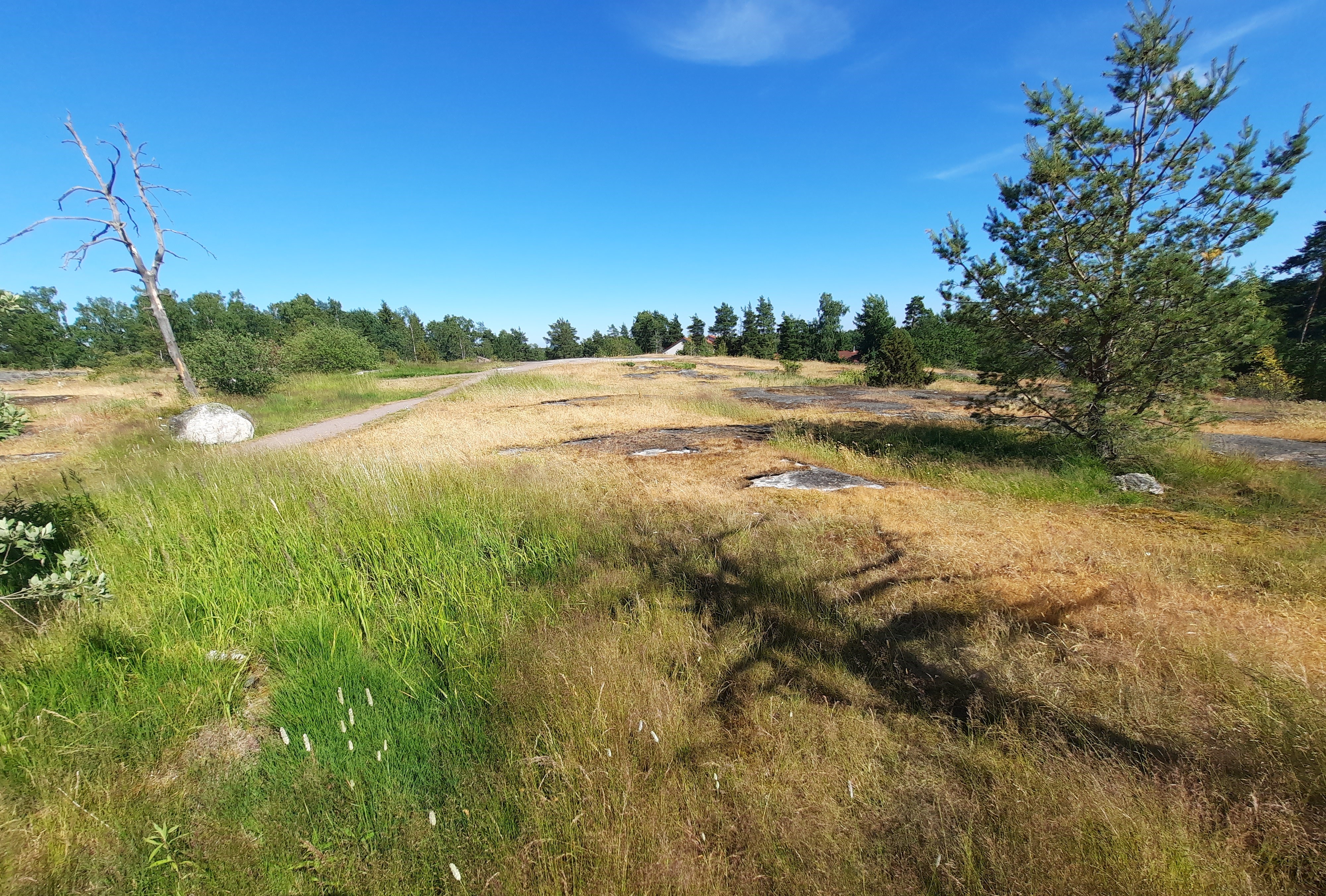 Kuva kohteesta v. 2022