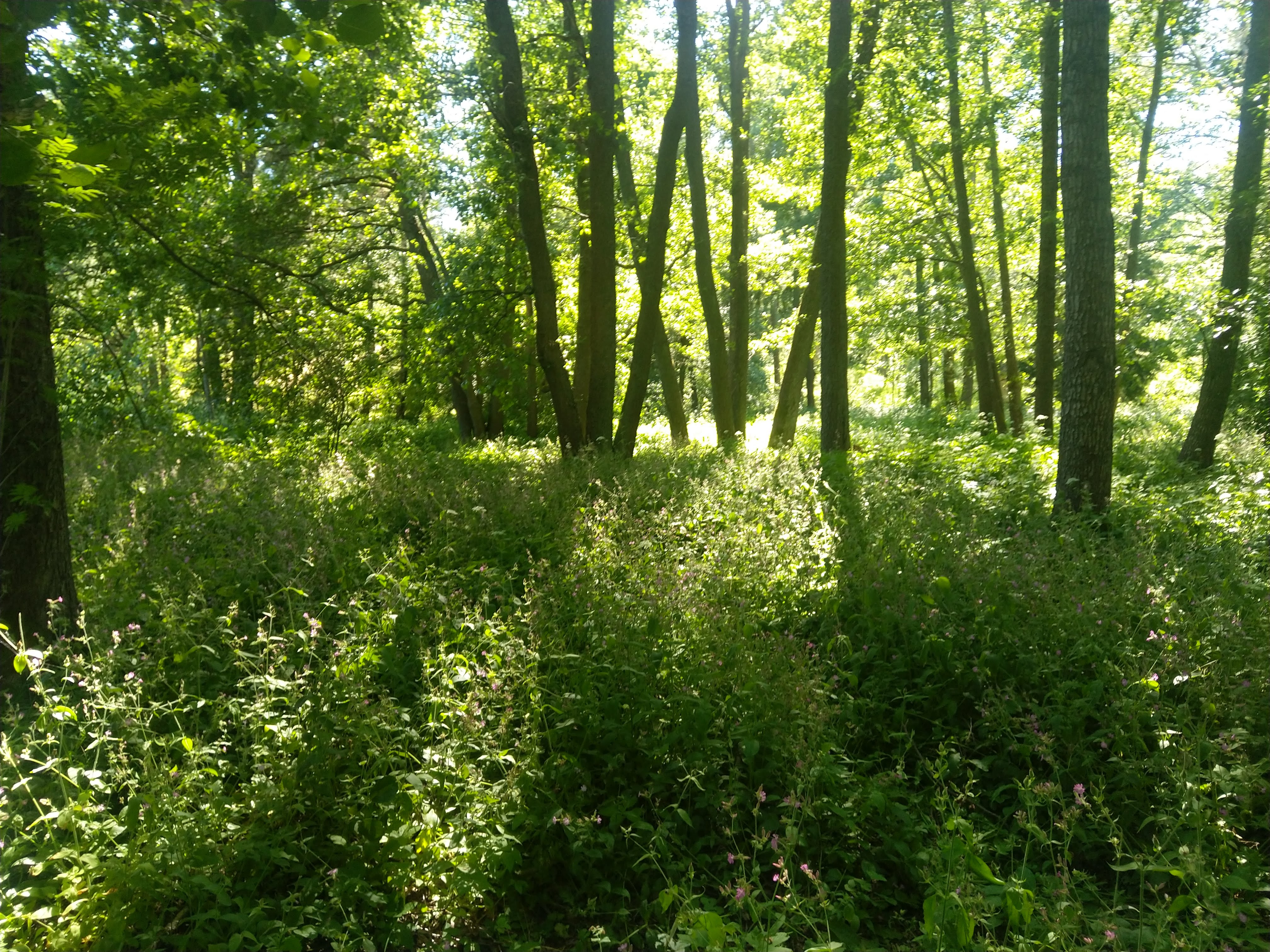 Kuva kohteesta v. 2022