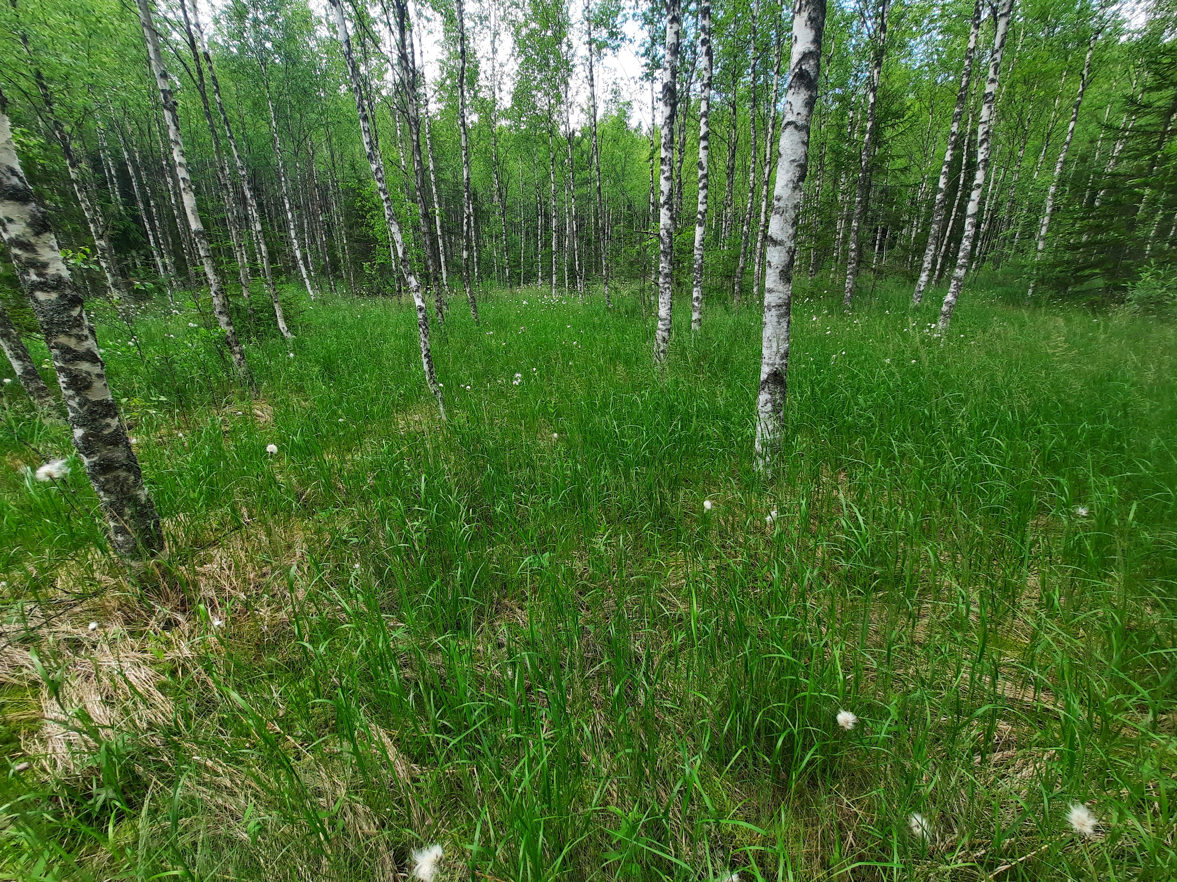 Kuva kohteesta v. 2023