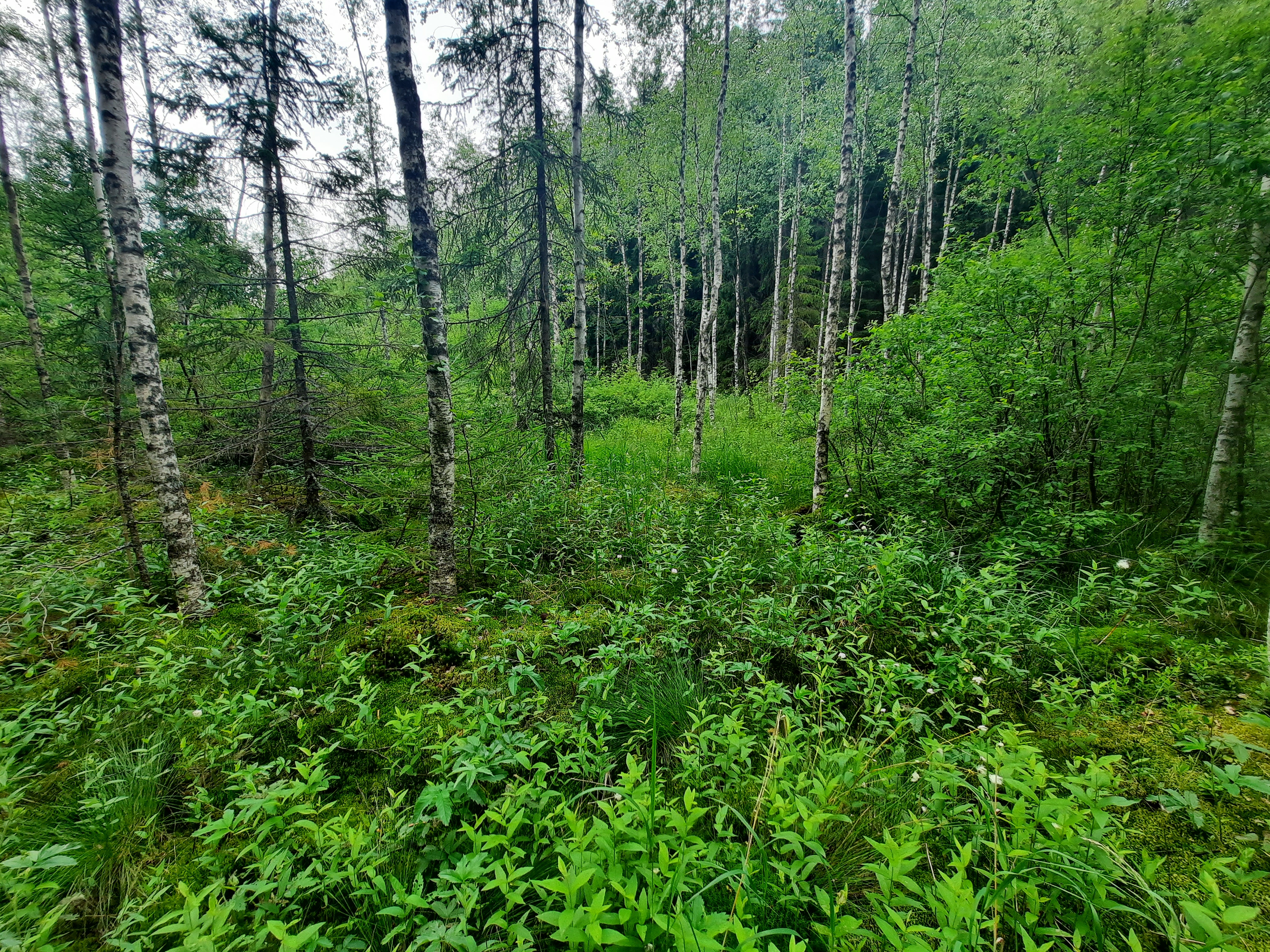 Kuva kohteesta v. 2023