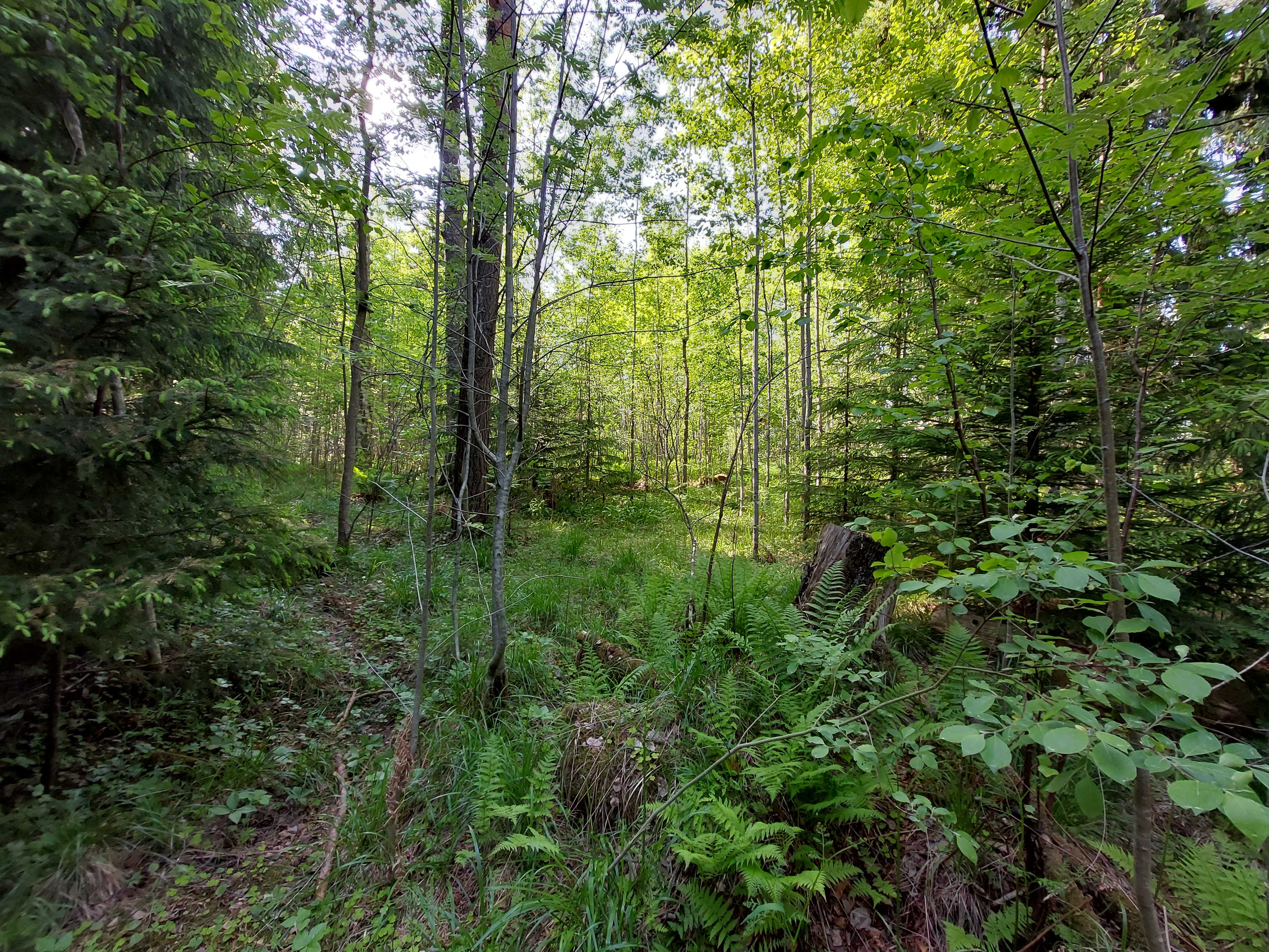 Kuva kohteesta v. 2023