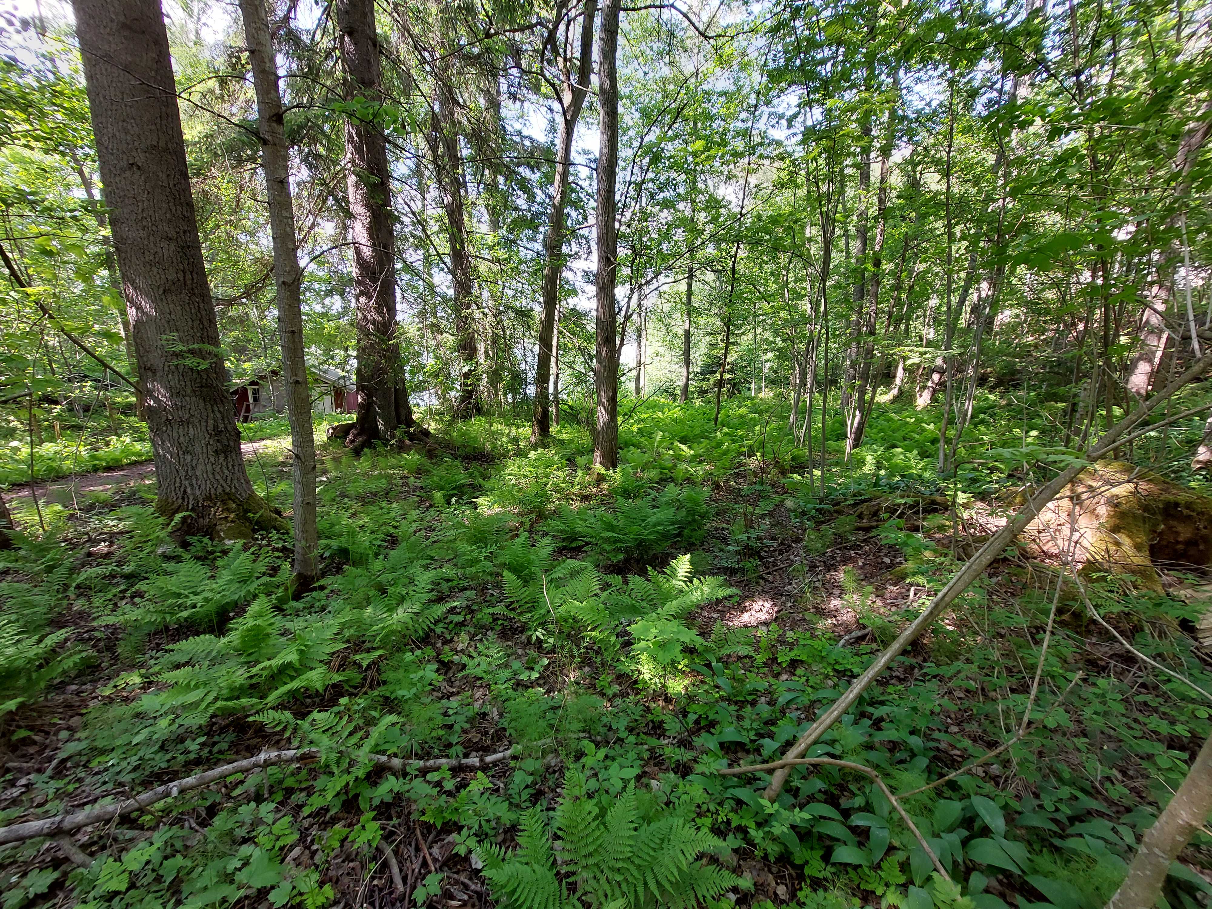 Kuva kohteesta v. 2023