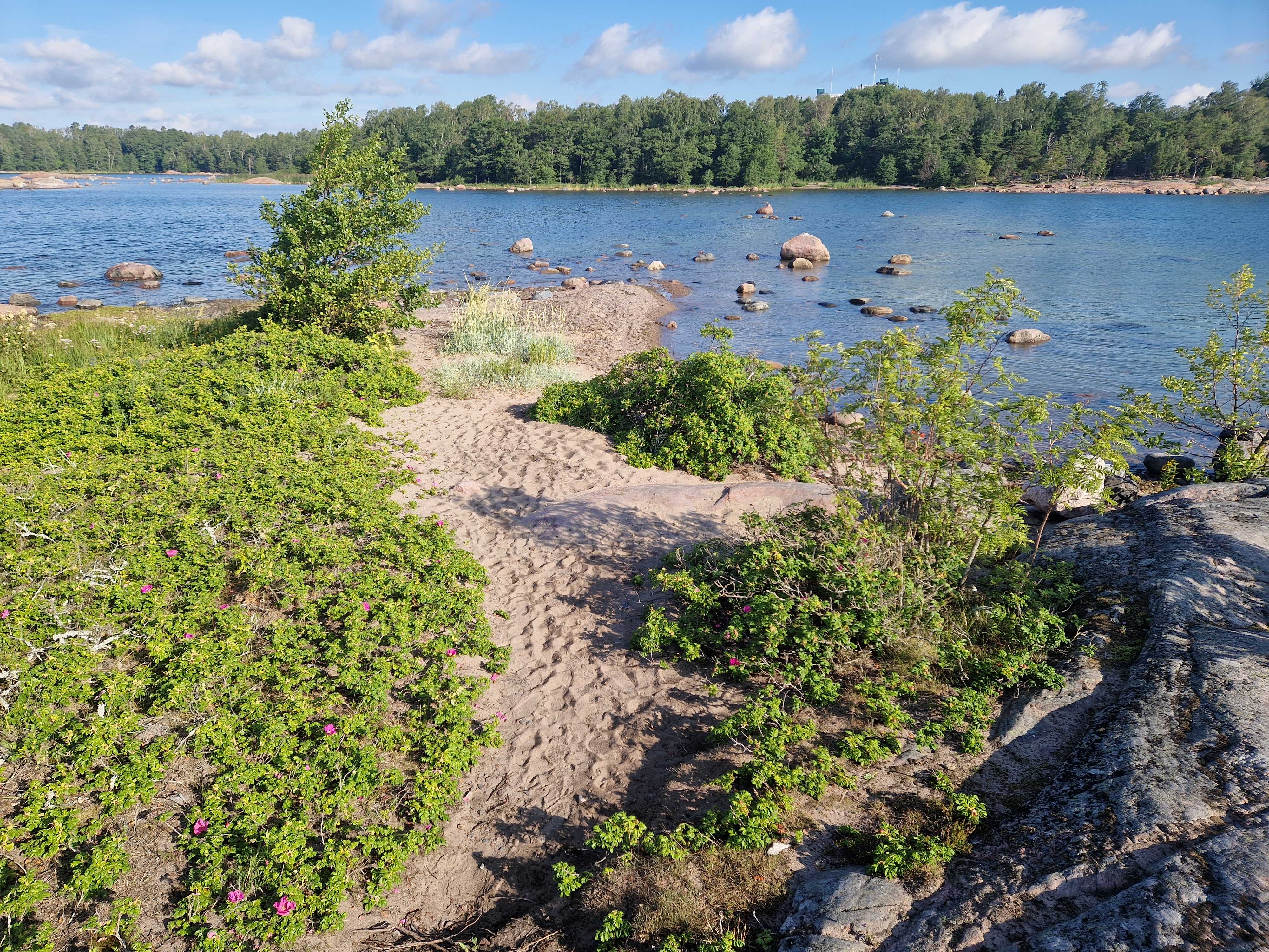 Kuva kohteesta v. 2023