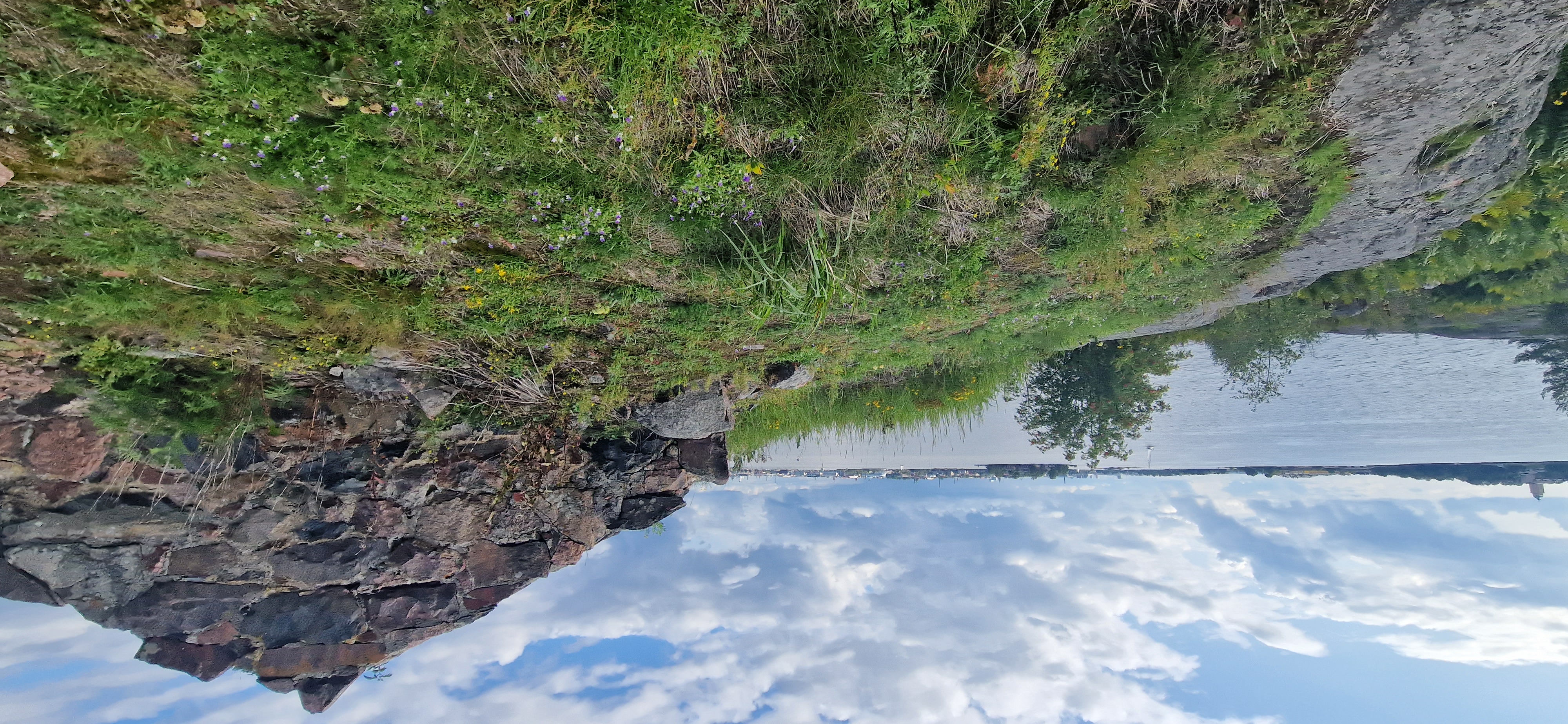 Kuva kohteesta v. 2023