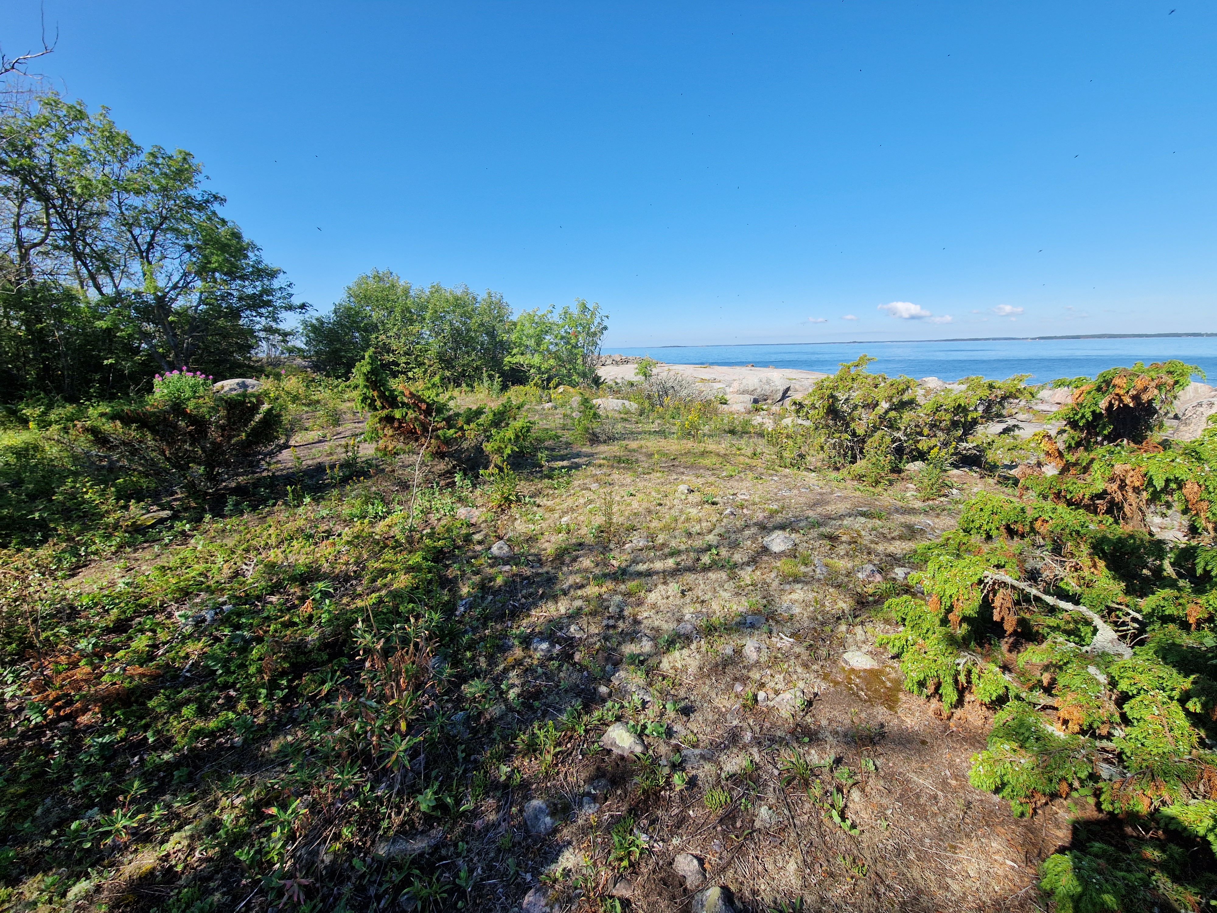 Kuva kohteesta v. 2023