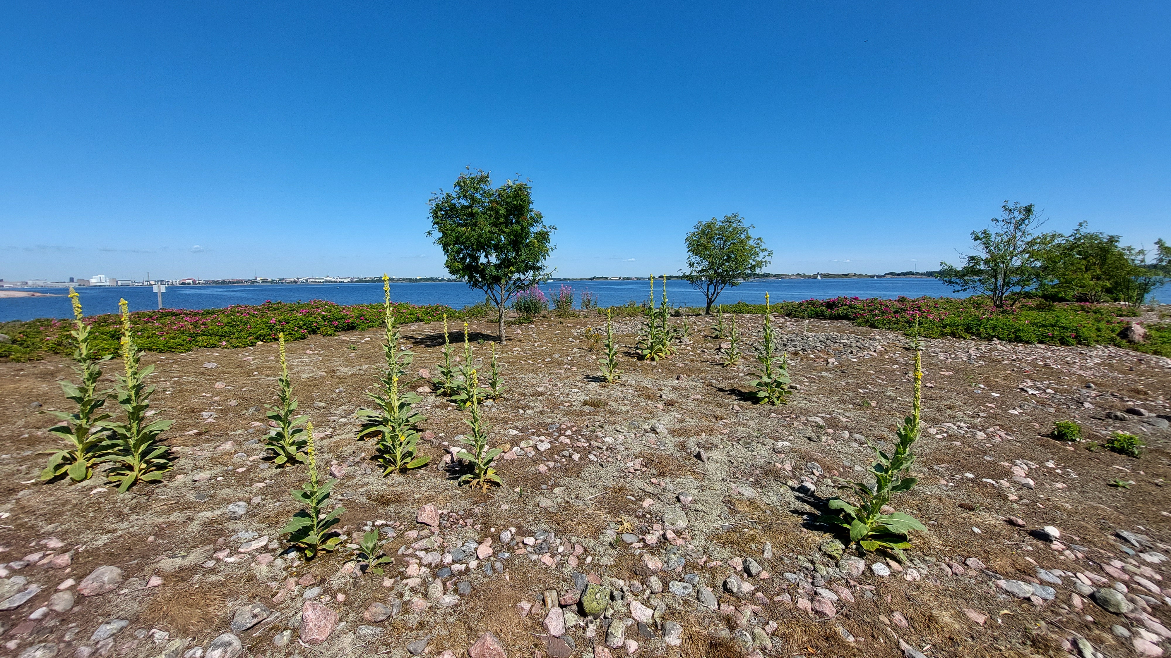 Kuva kohteesta v. 2023