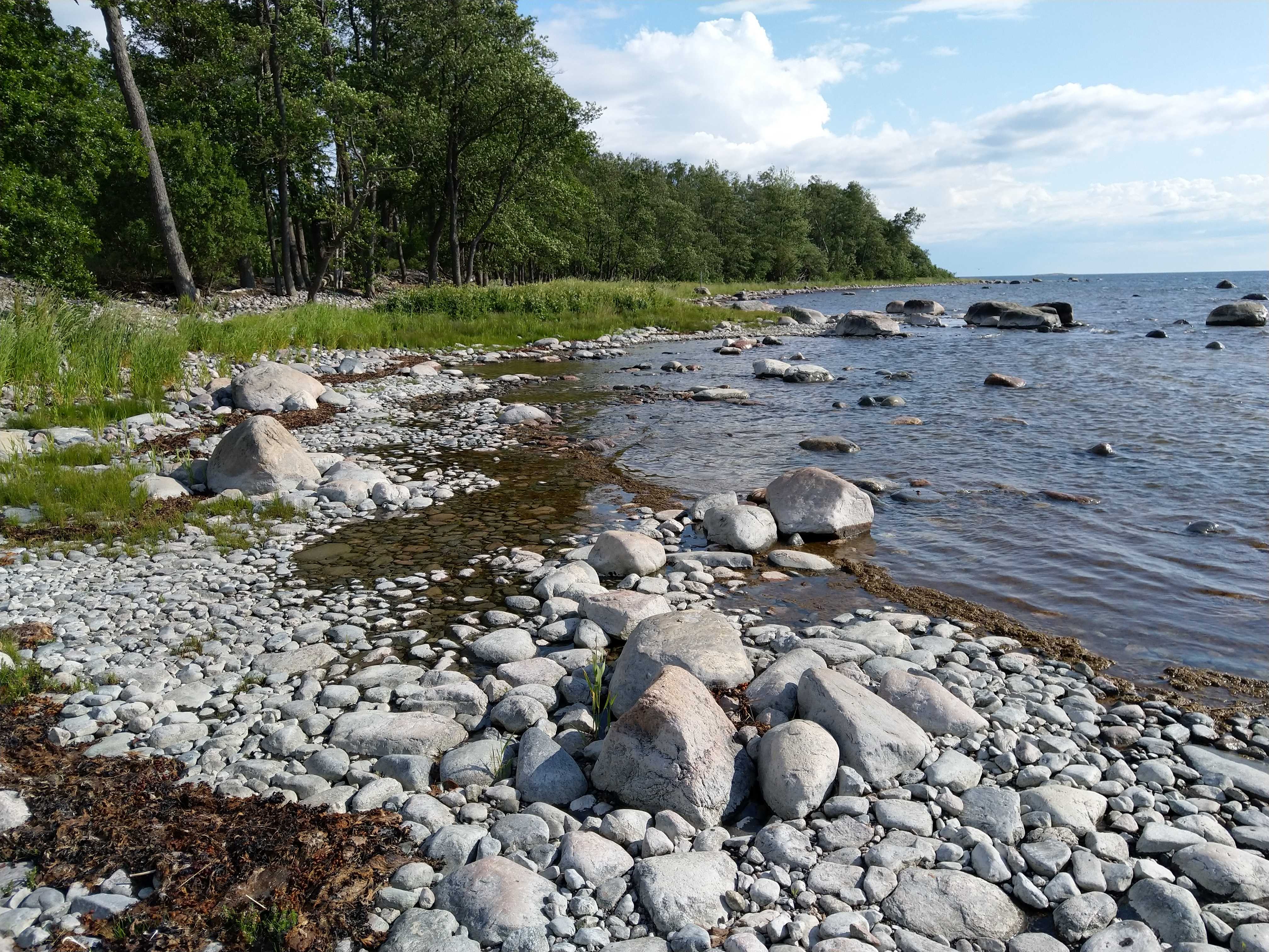 Kuva kohteesta v. 2023