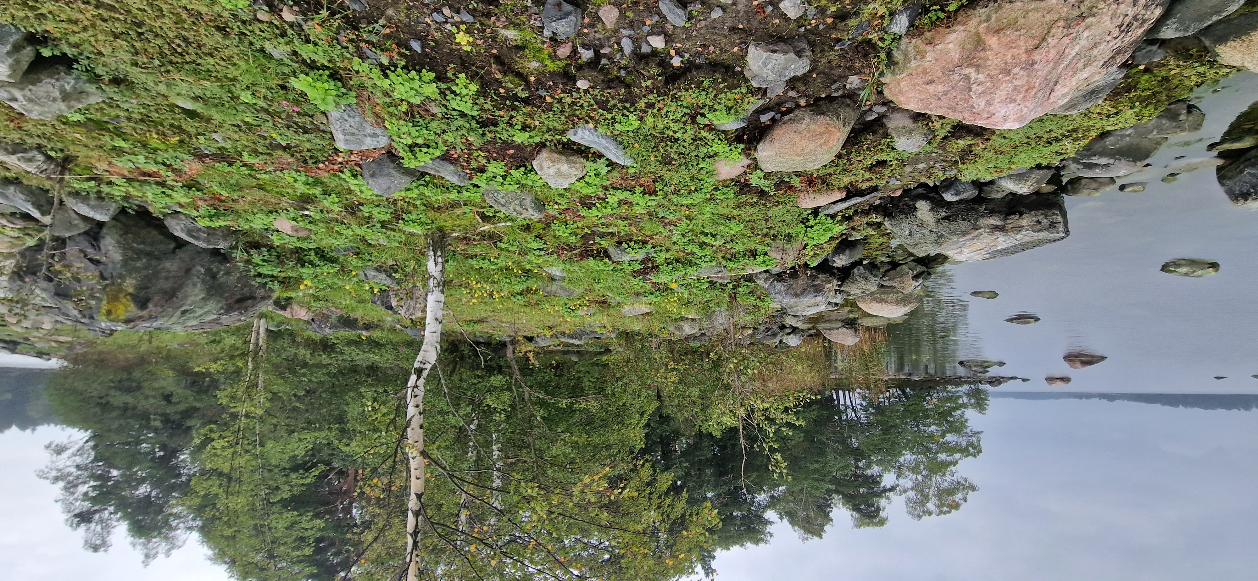 Kuva kohteesta v. 2023