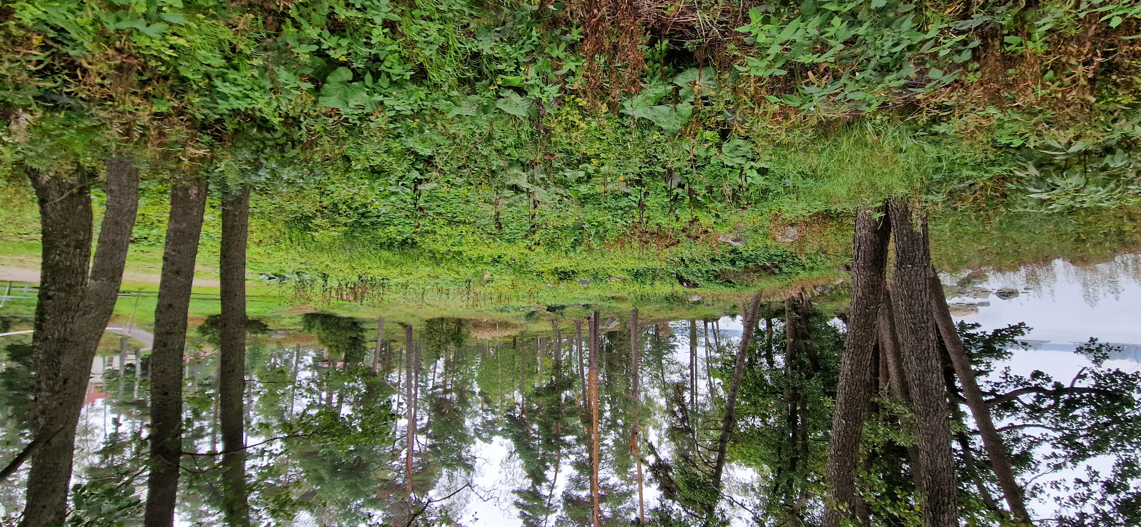 Kuva kohteesta v. 2023