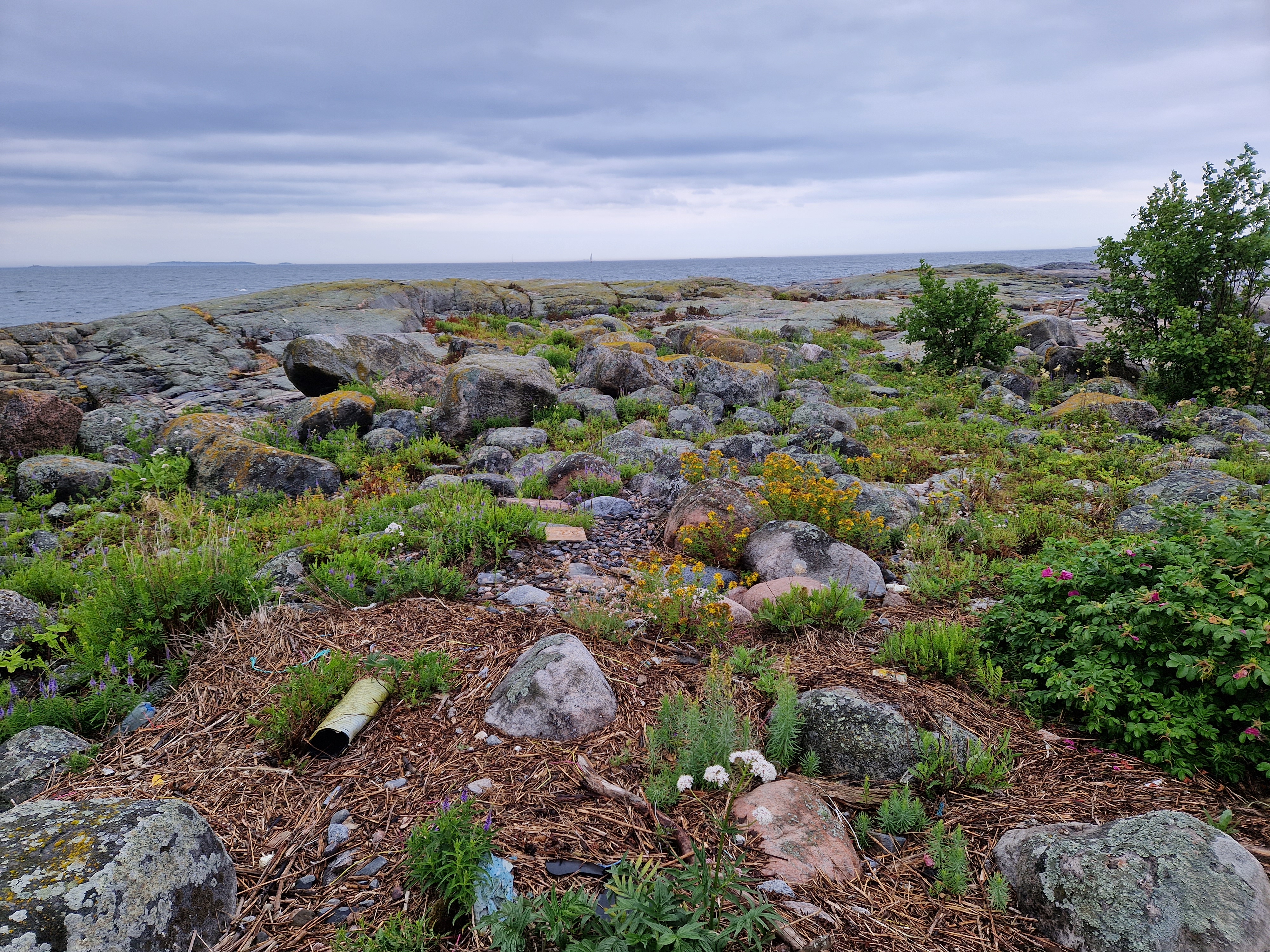 Kuva kohteesta v. 2023