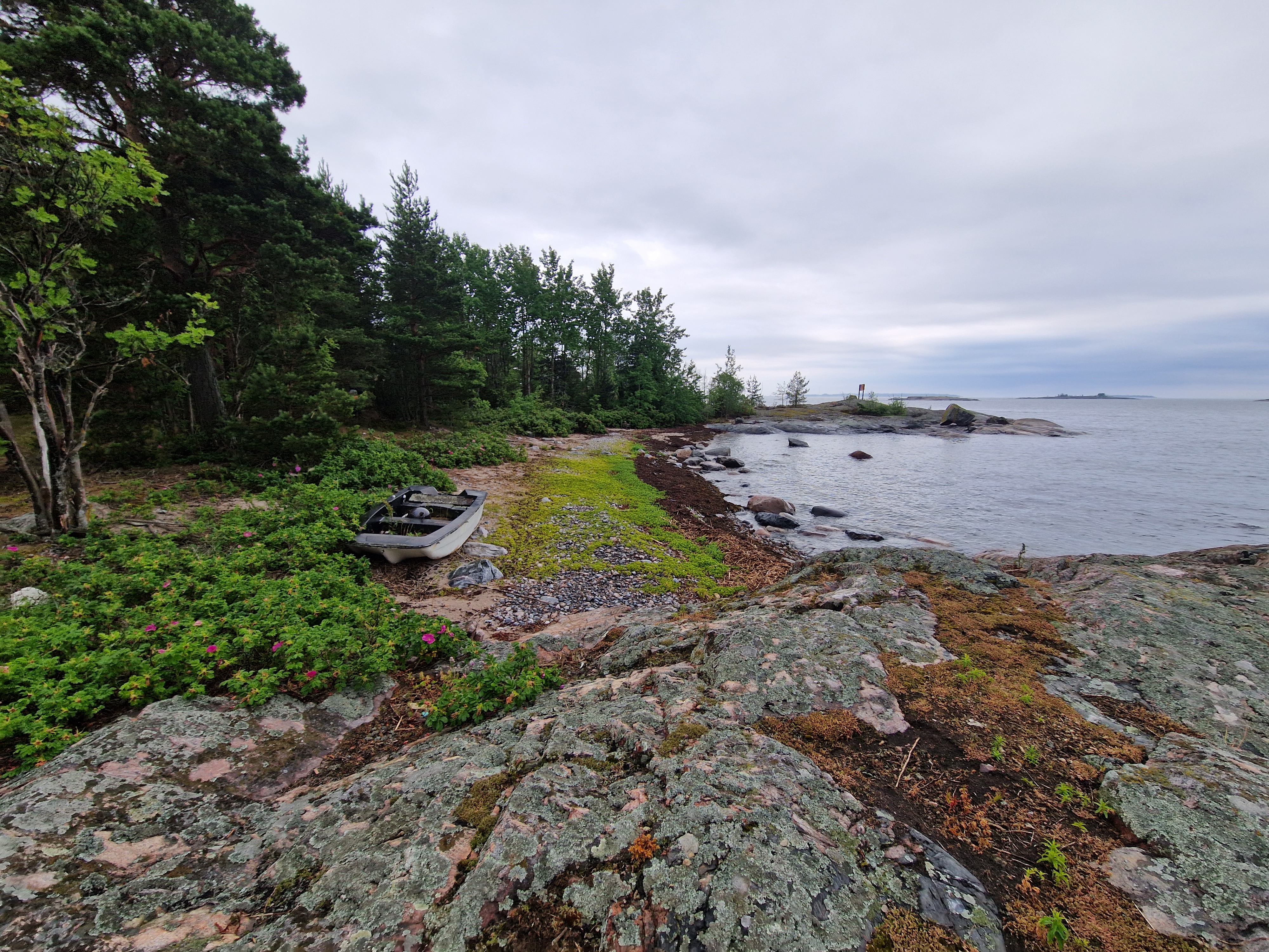 Kuva kohteesta v. 2023