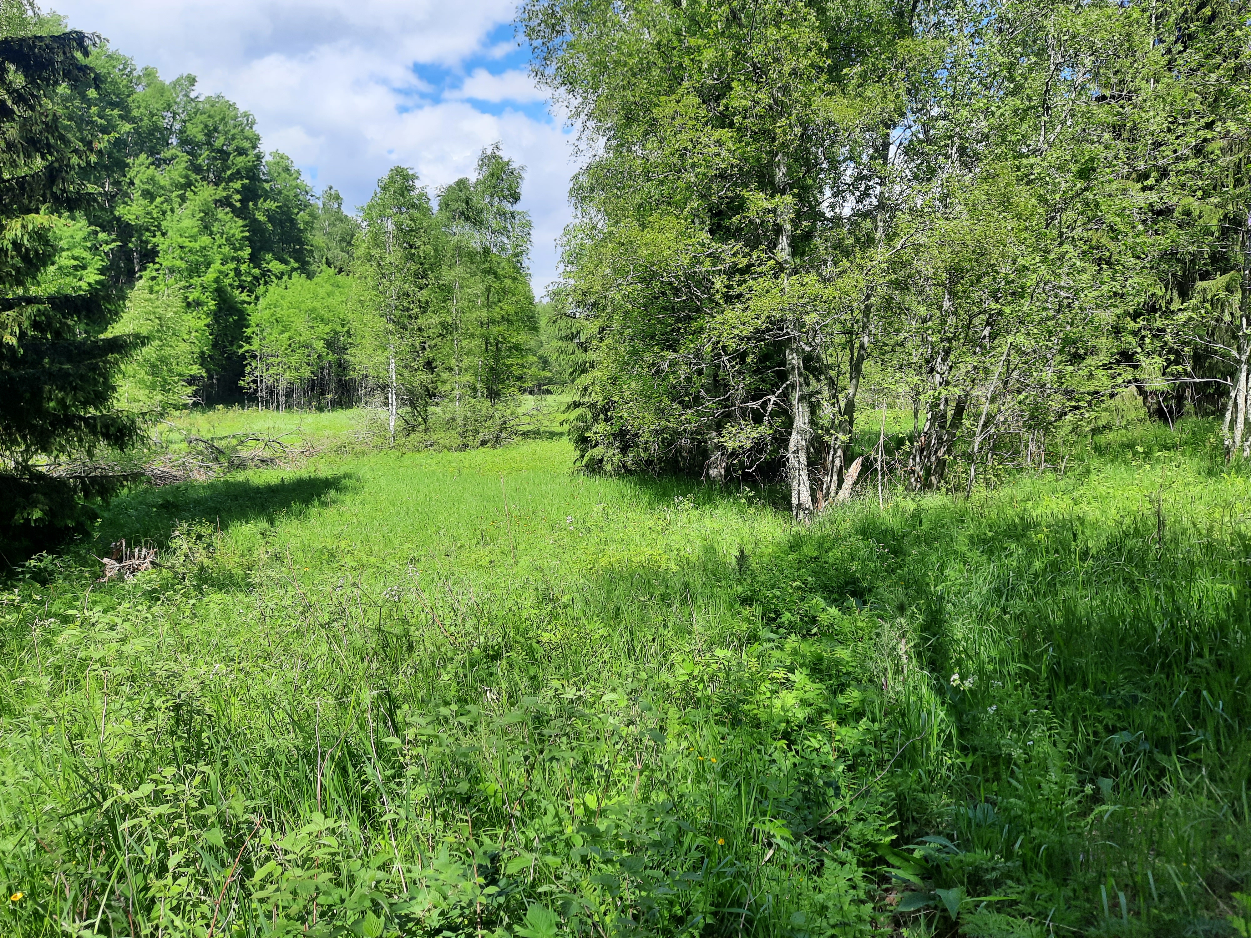 Kuva kohteesta v. 2023