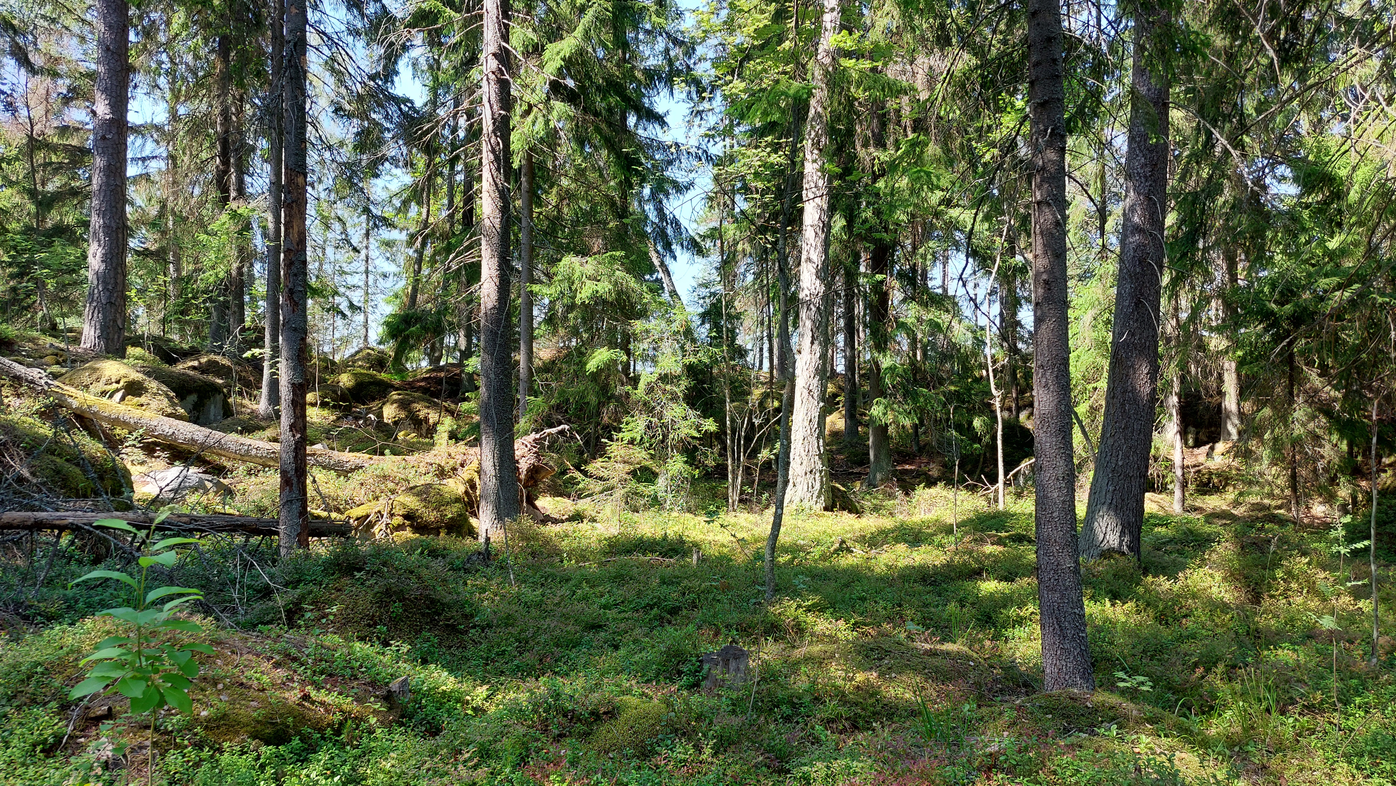 Kuva kohteesta v. 2023