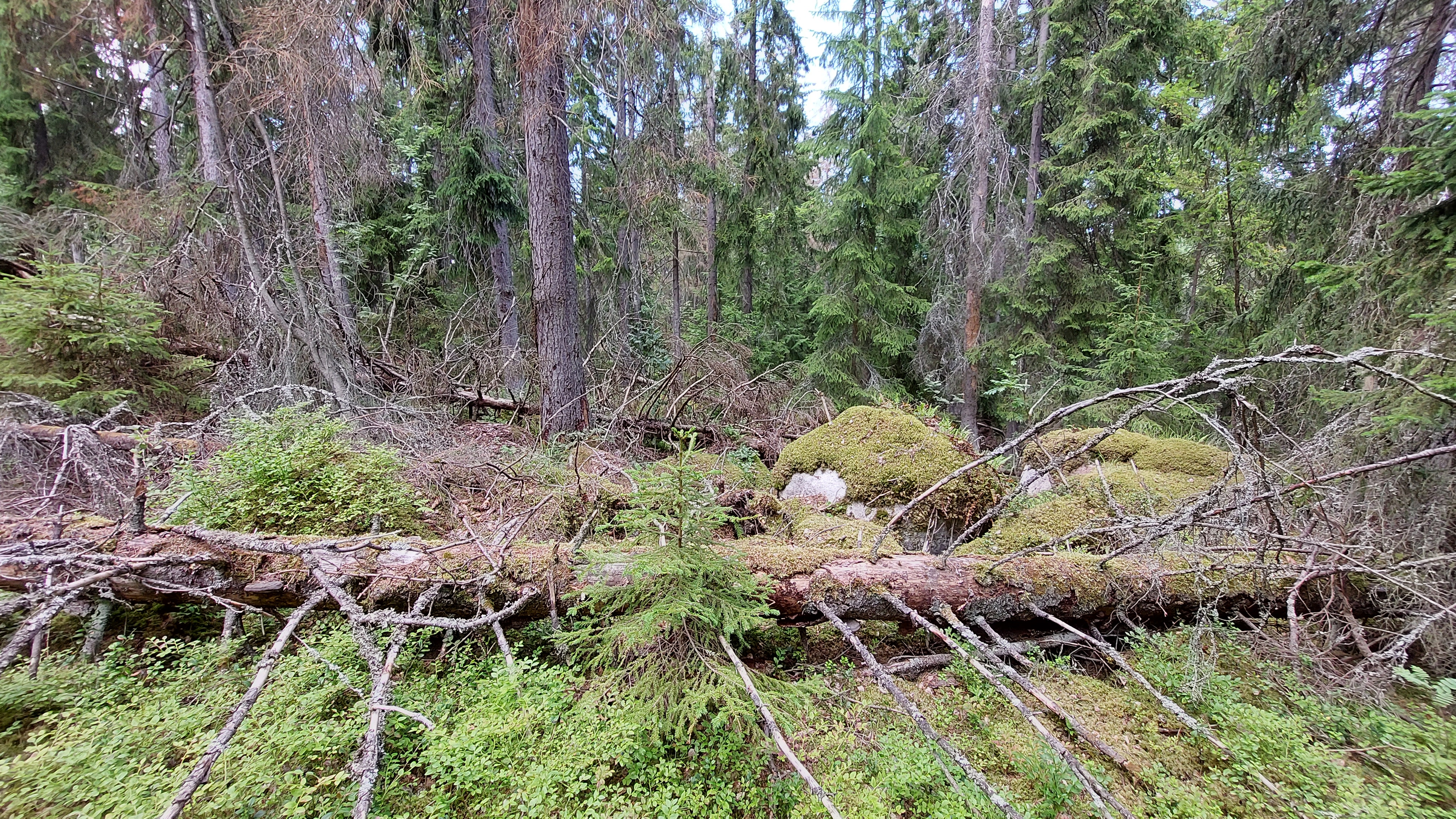 Kuva kohteesta v. 2023