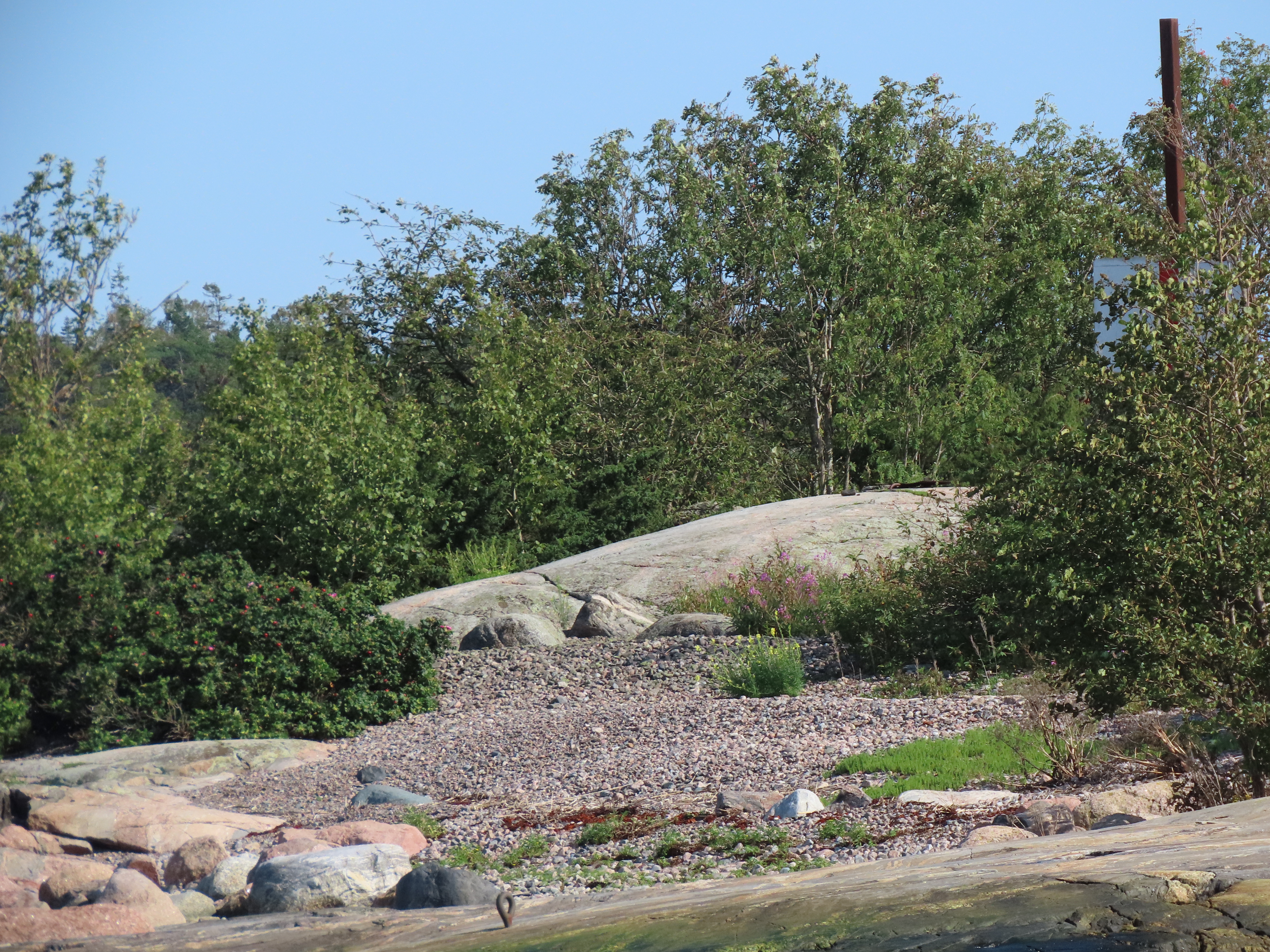 Kuva kohteesta v. 2023