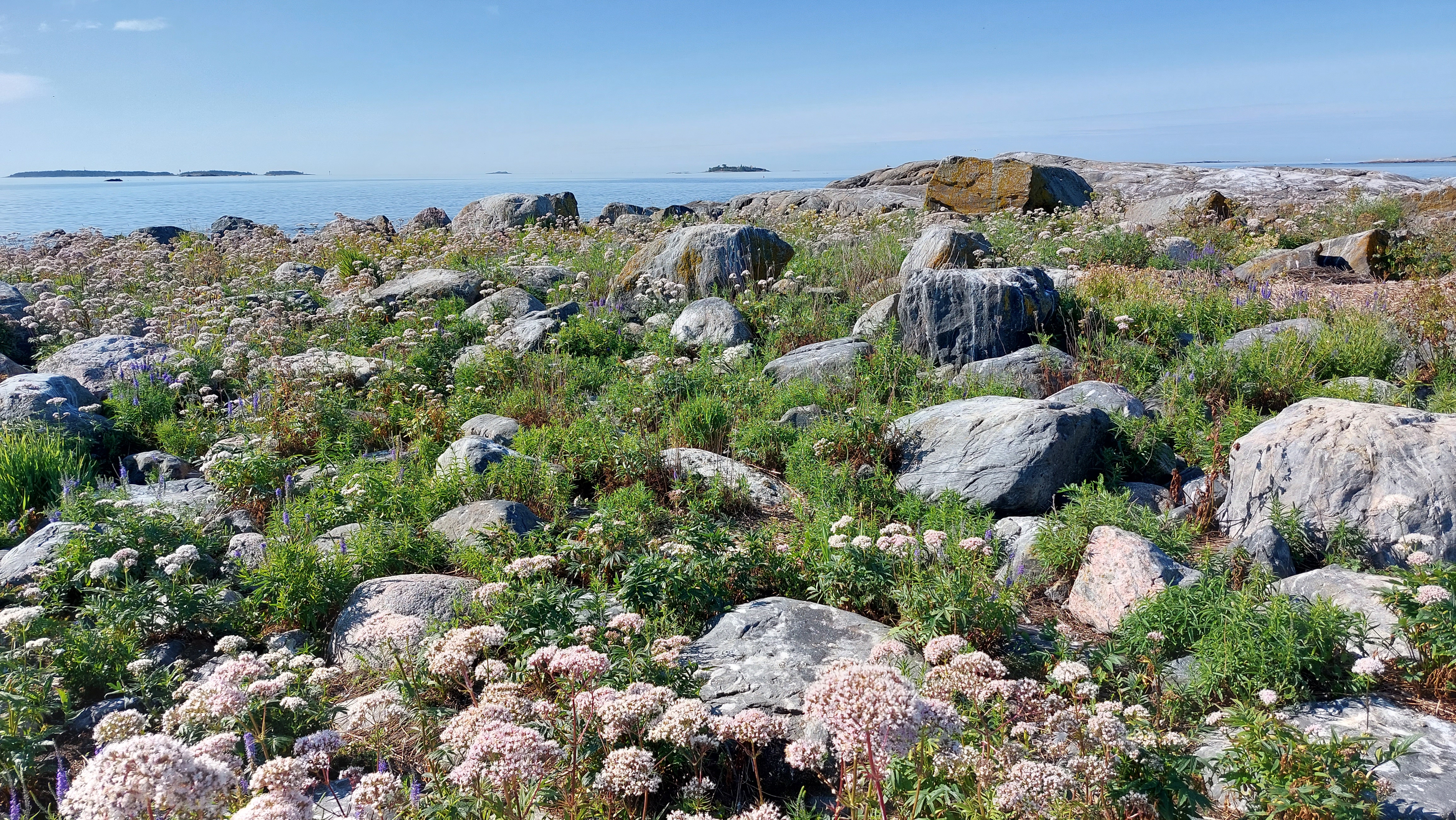 Kuva kohteesta v. 2023