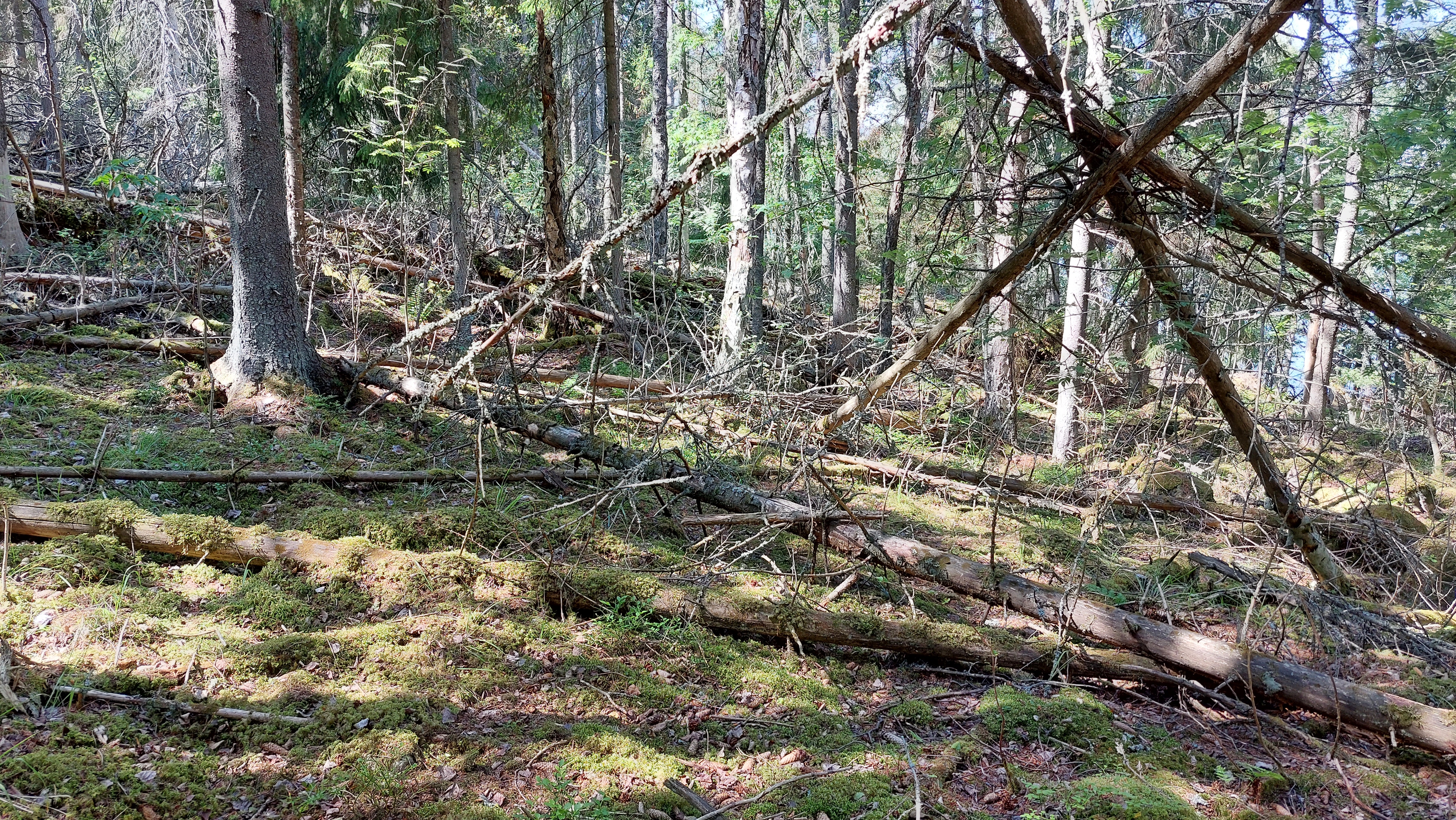 Kuva kohteesta v. 2023