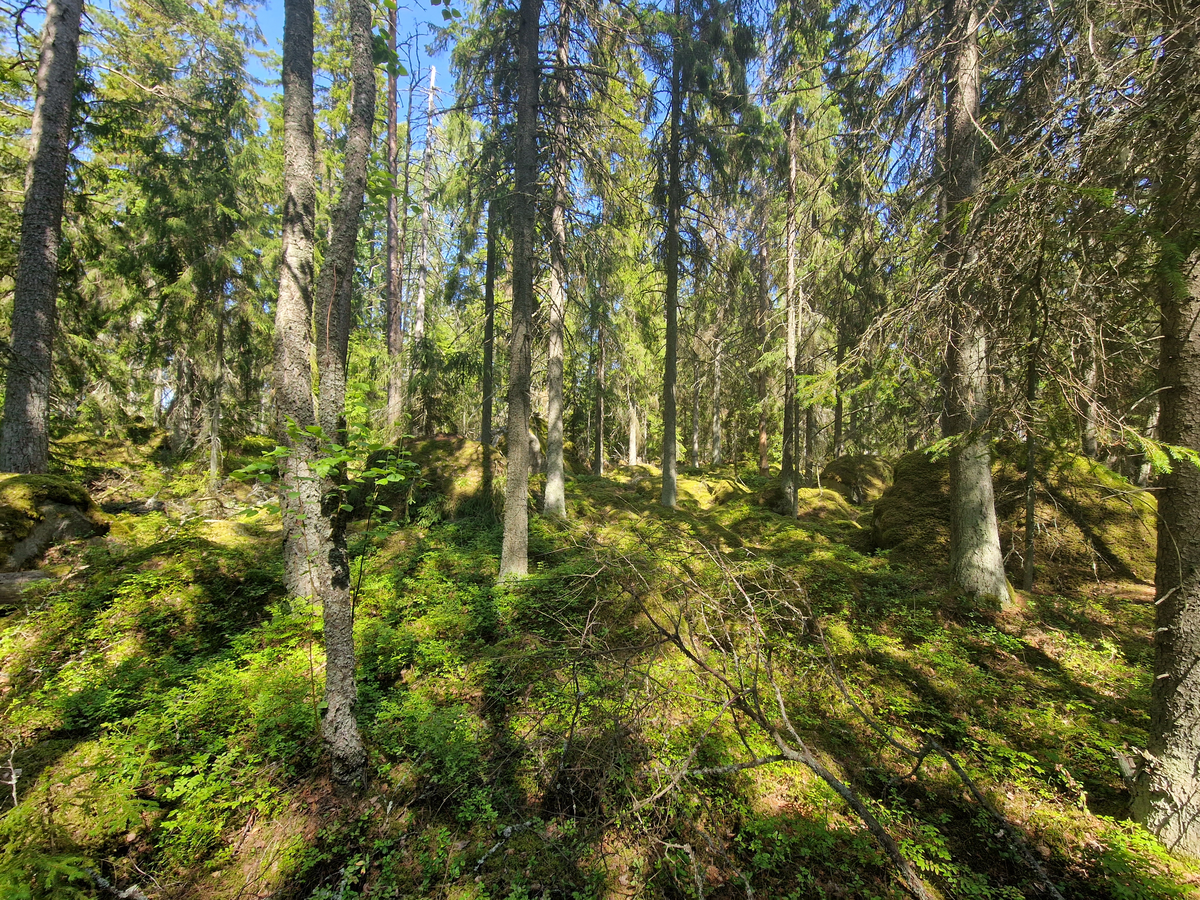 Kuva kohteesta v. 2023