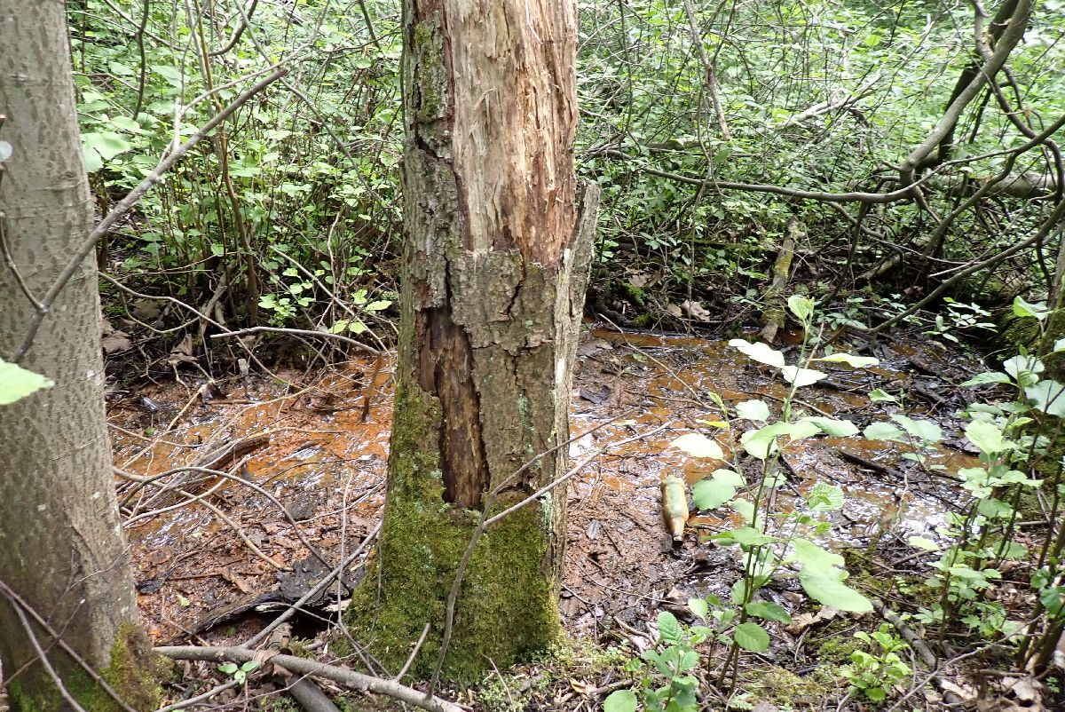 Kuva kohteesta v. 2024