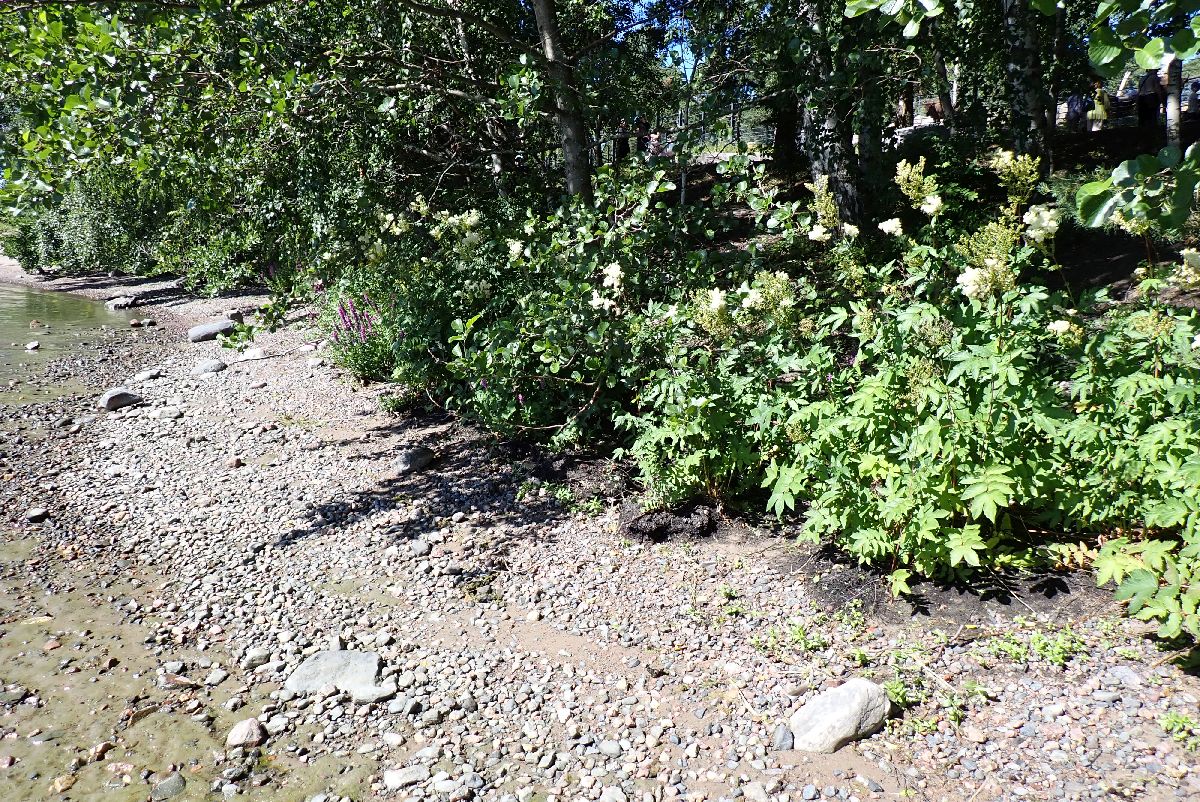 Kuva kohteesta v. 2024