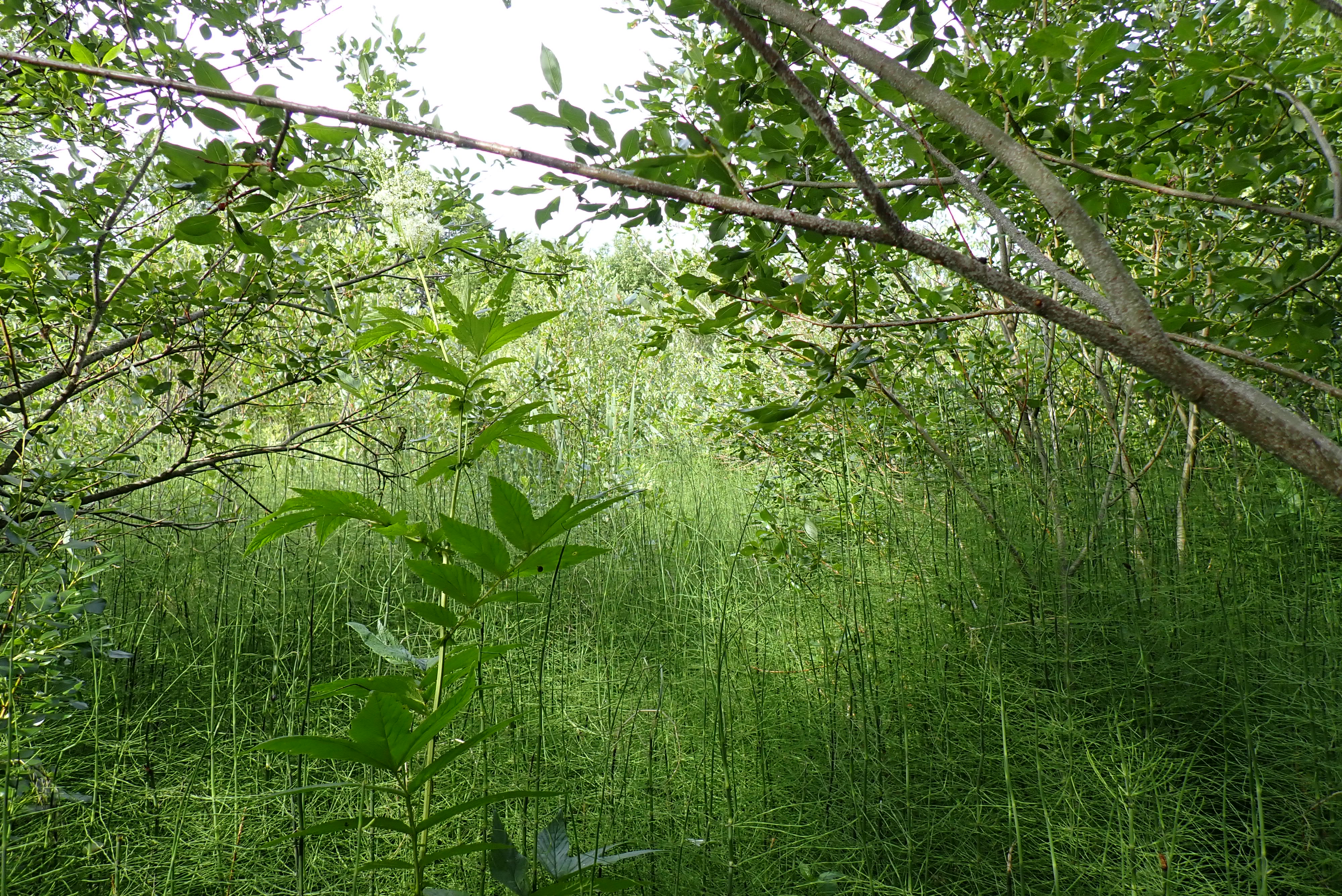 Kuva kohteesta v. 2024