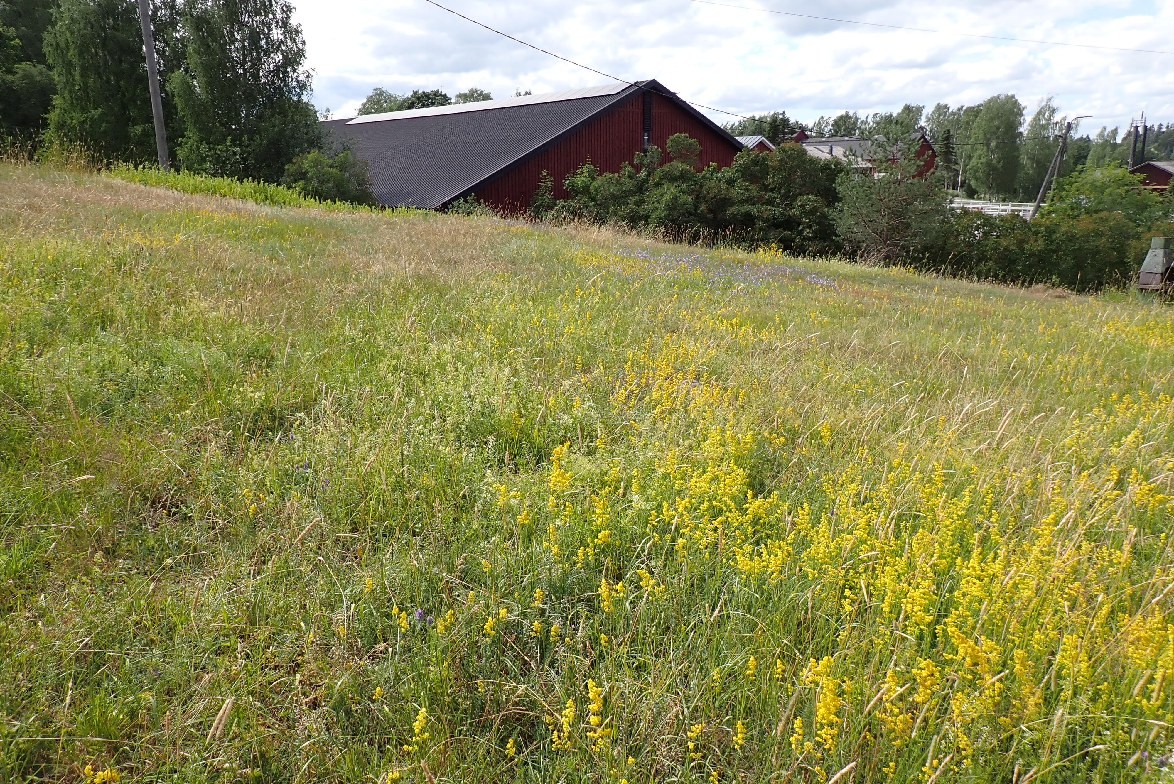 Kuva kohteesta v. 2024