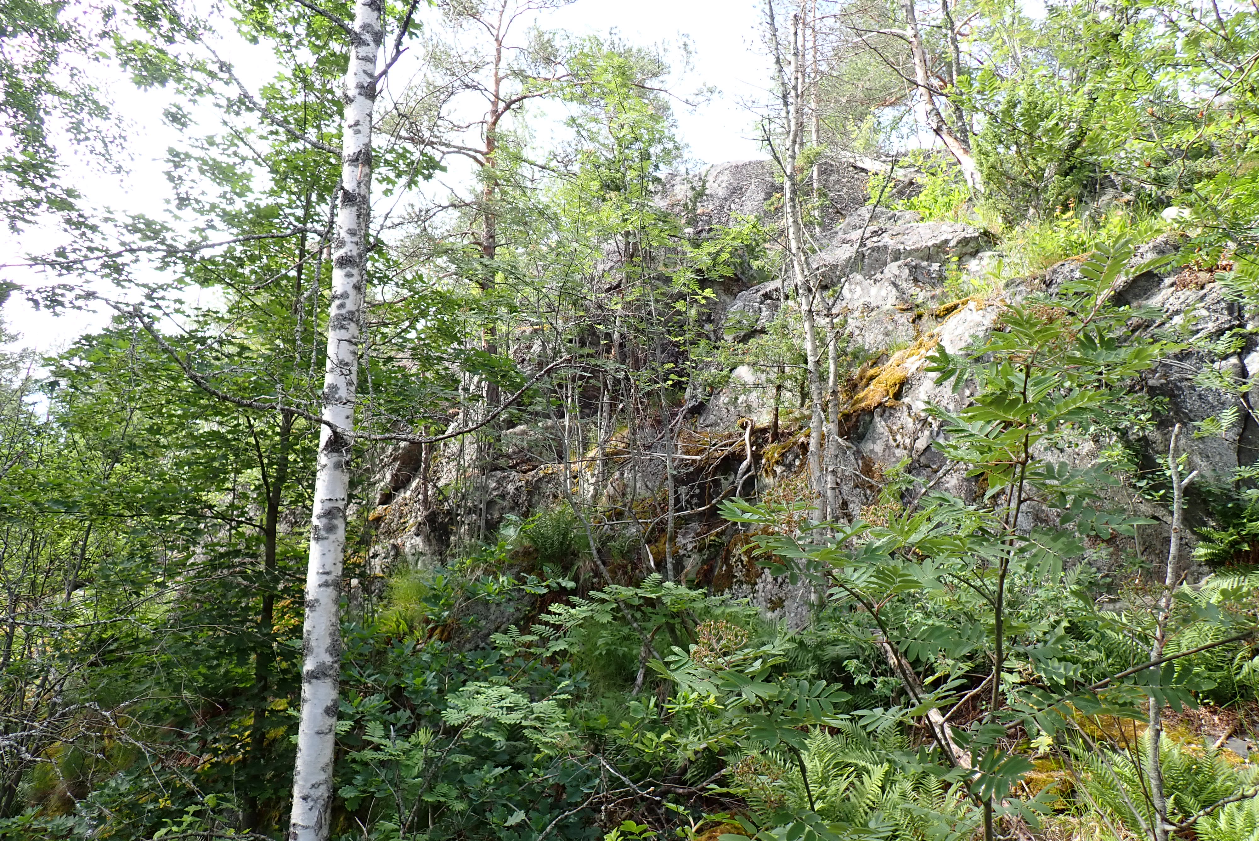 Kuva kohteesta v. 2024