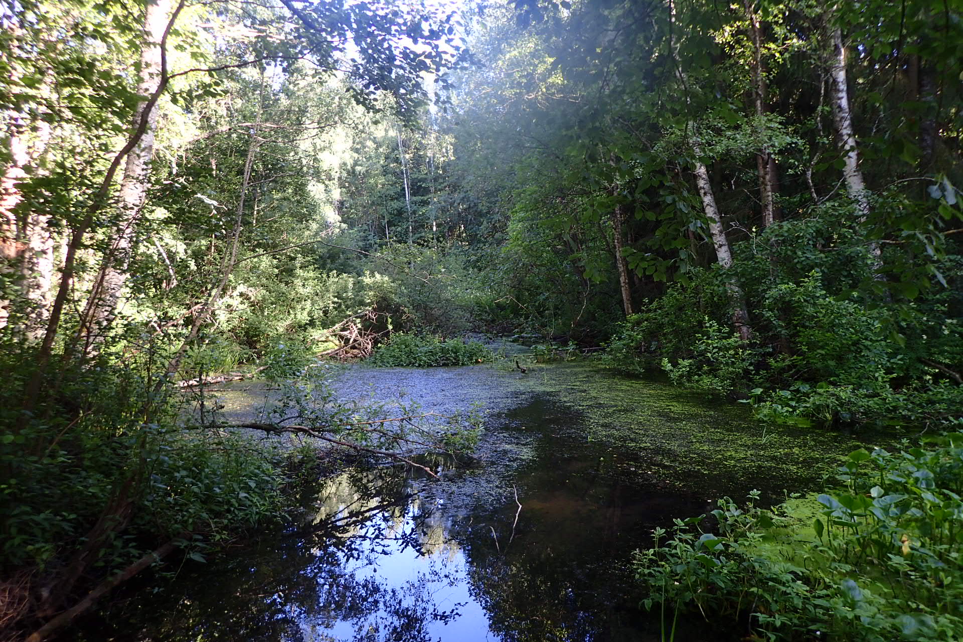 Kuva kohteesta v. 2024