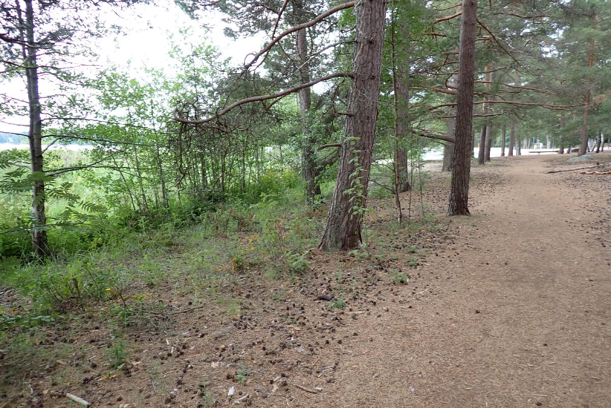 Kuva kohteesta v. 2024