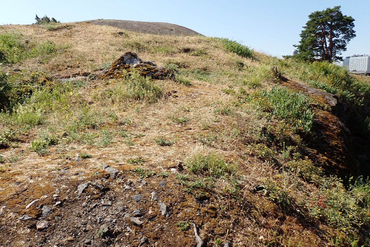 Kuva kohteesta v. 2024