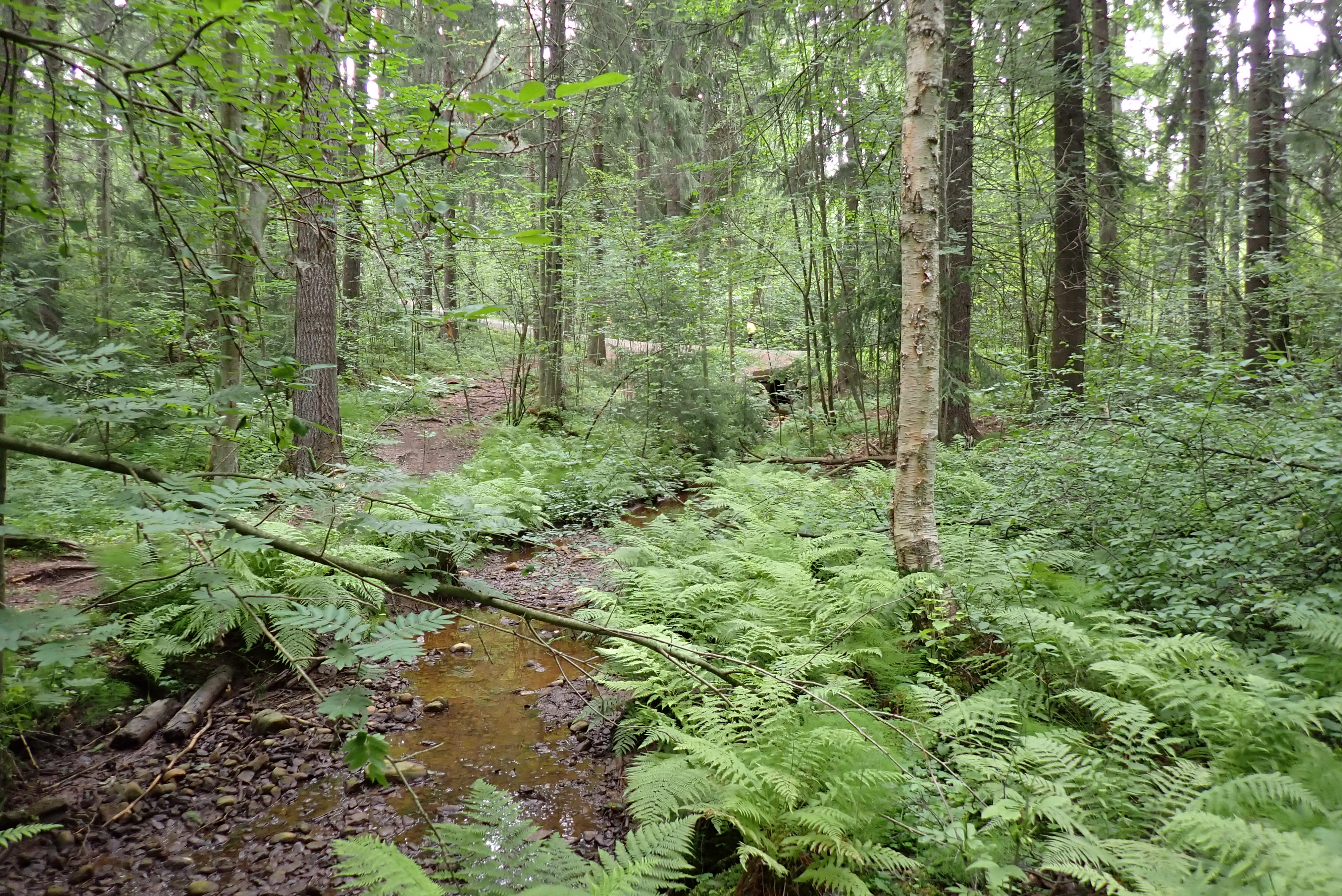 Kuva kohteesta v. 2024