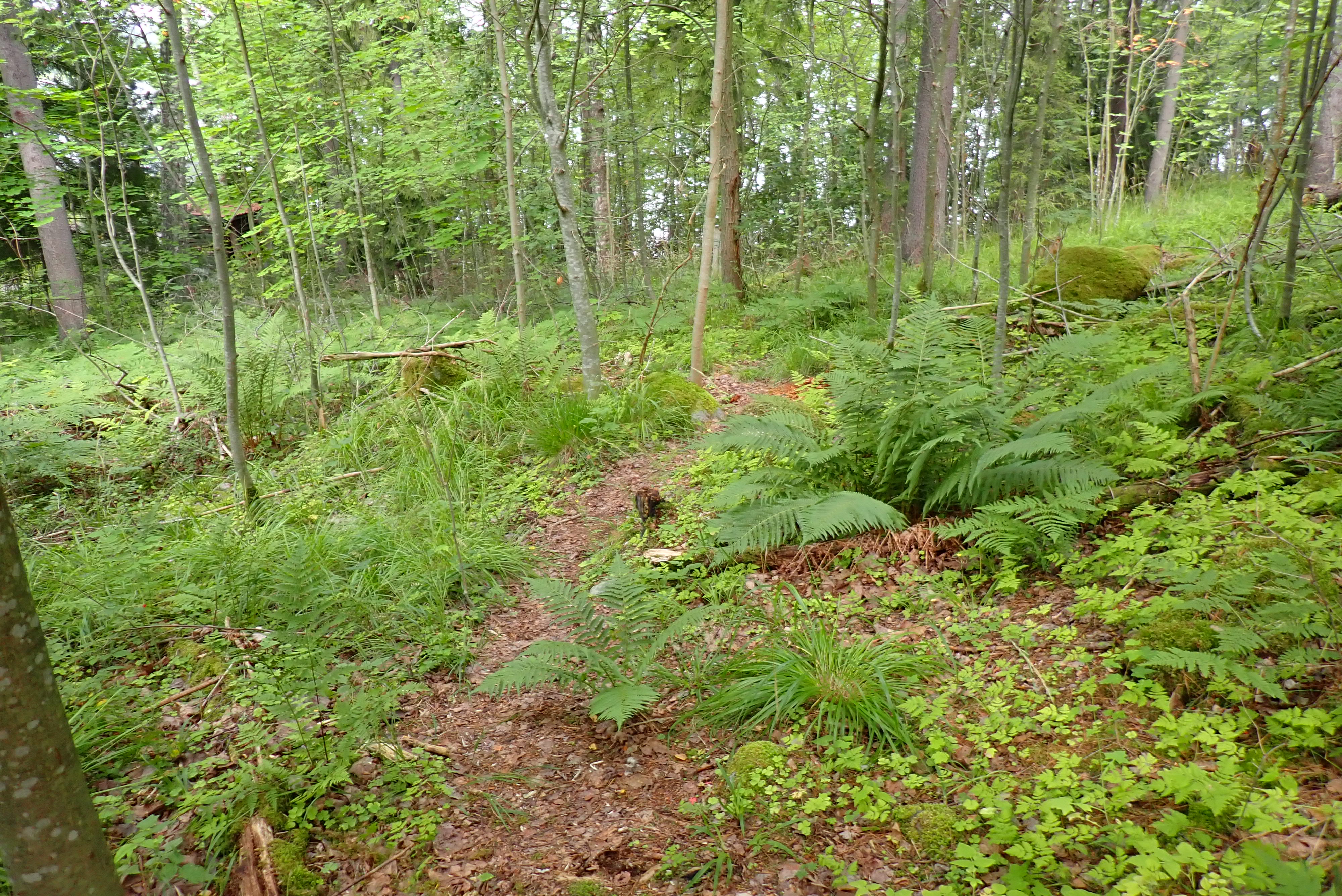 Kuva kohteesta v. 2024