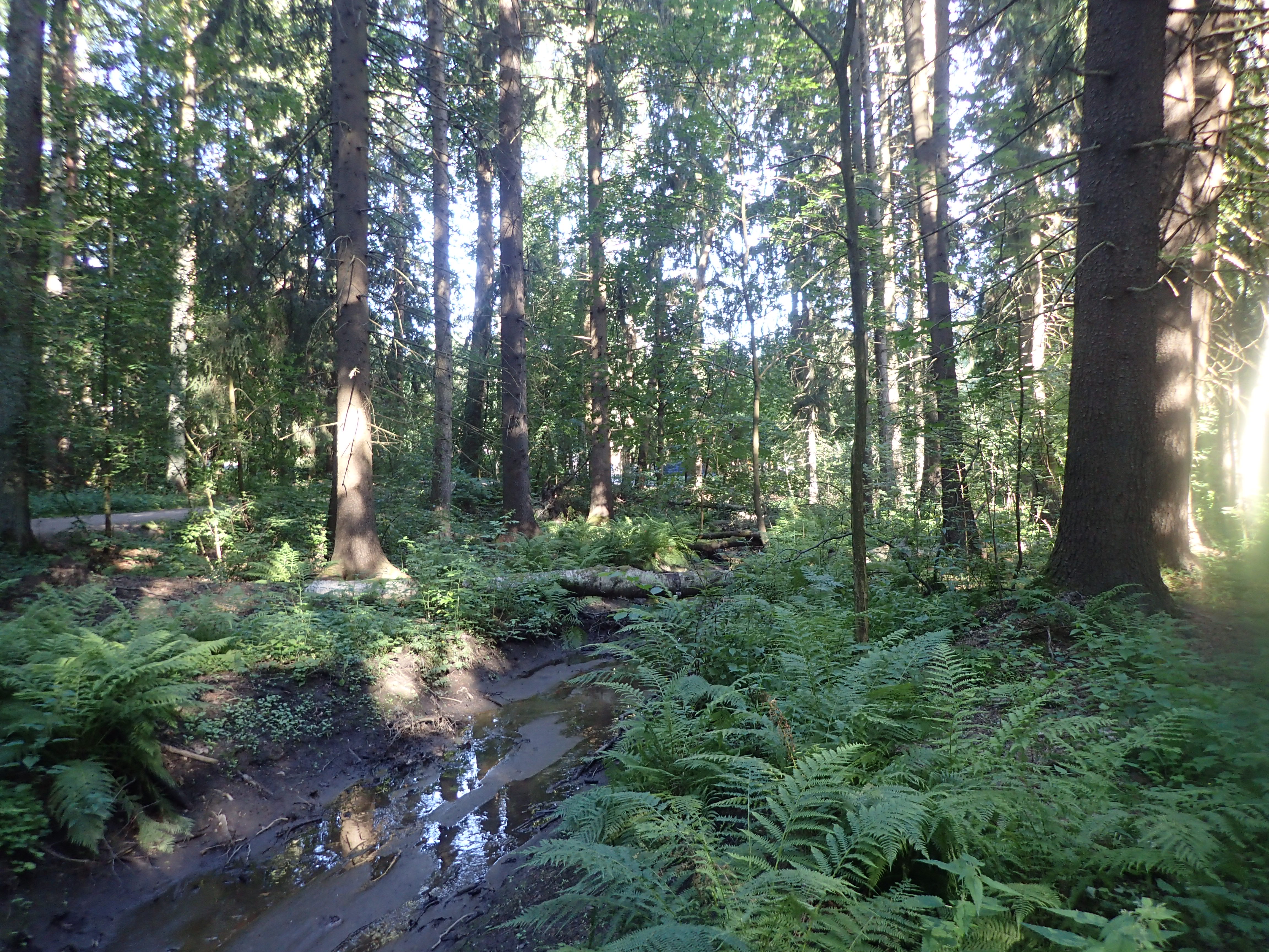 Kuva kohteesta v. 2024