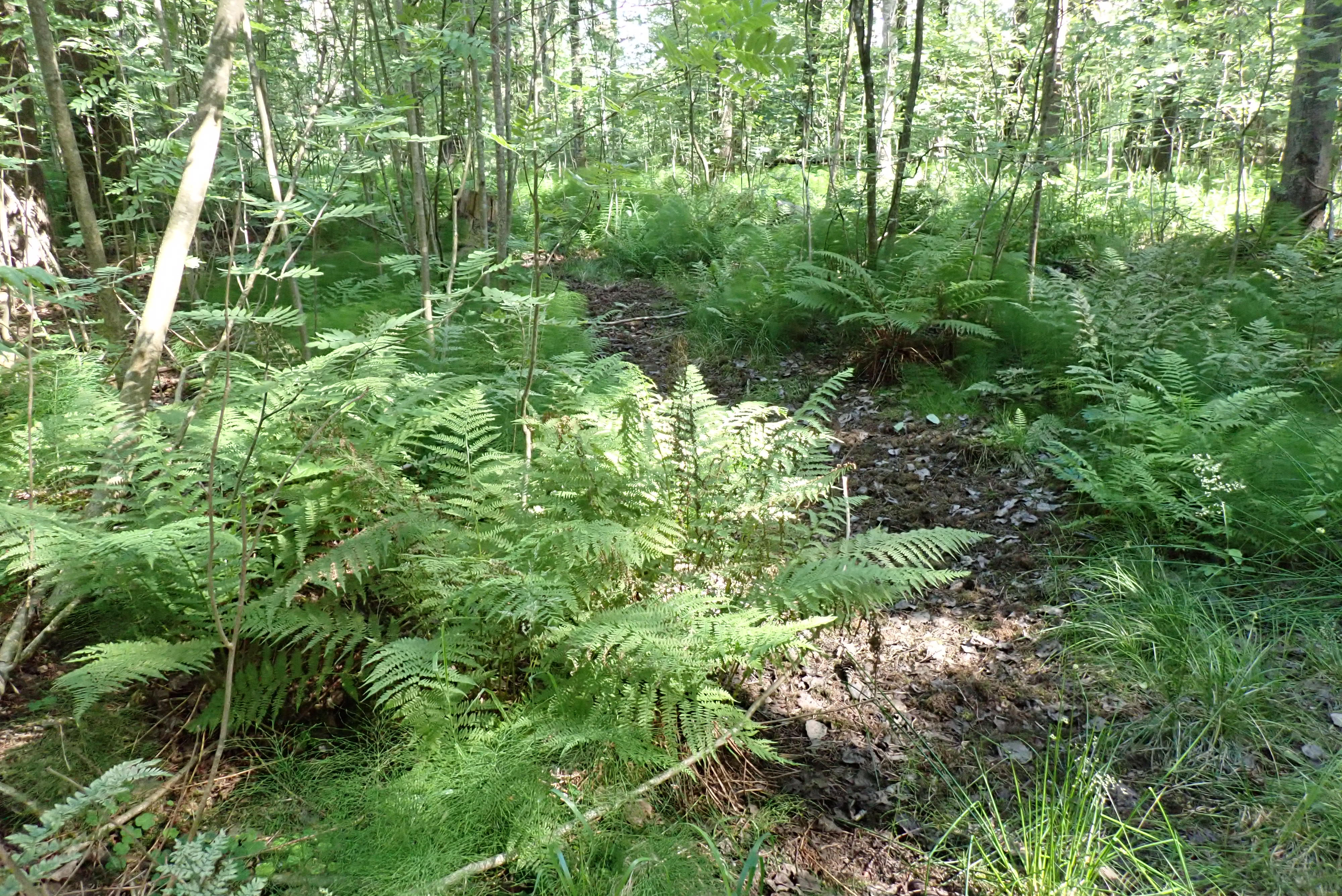 Kuva kohteesta v. 2024