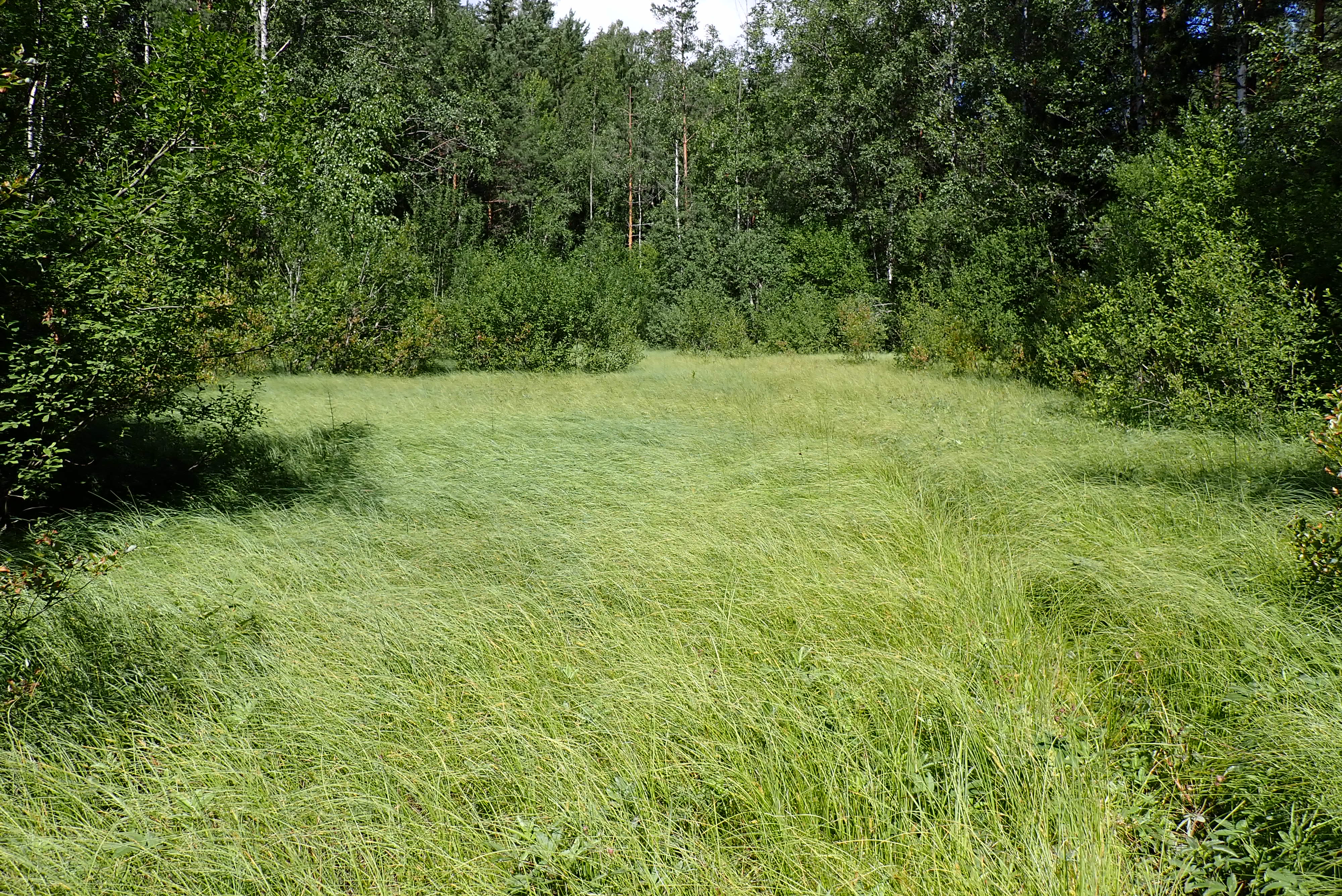 Kuva kohteesta v. 2024