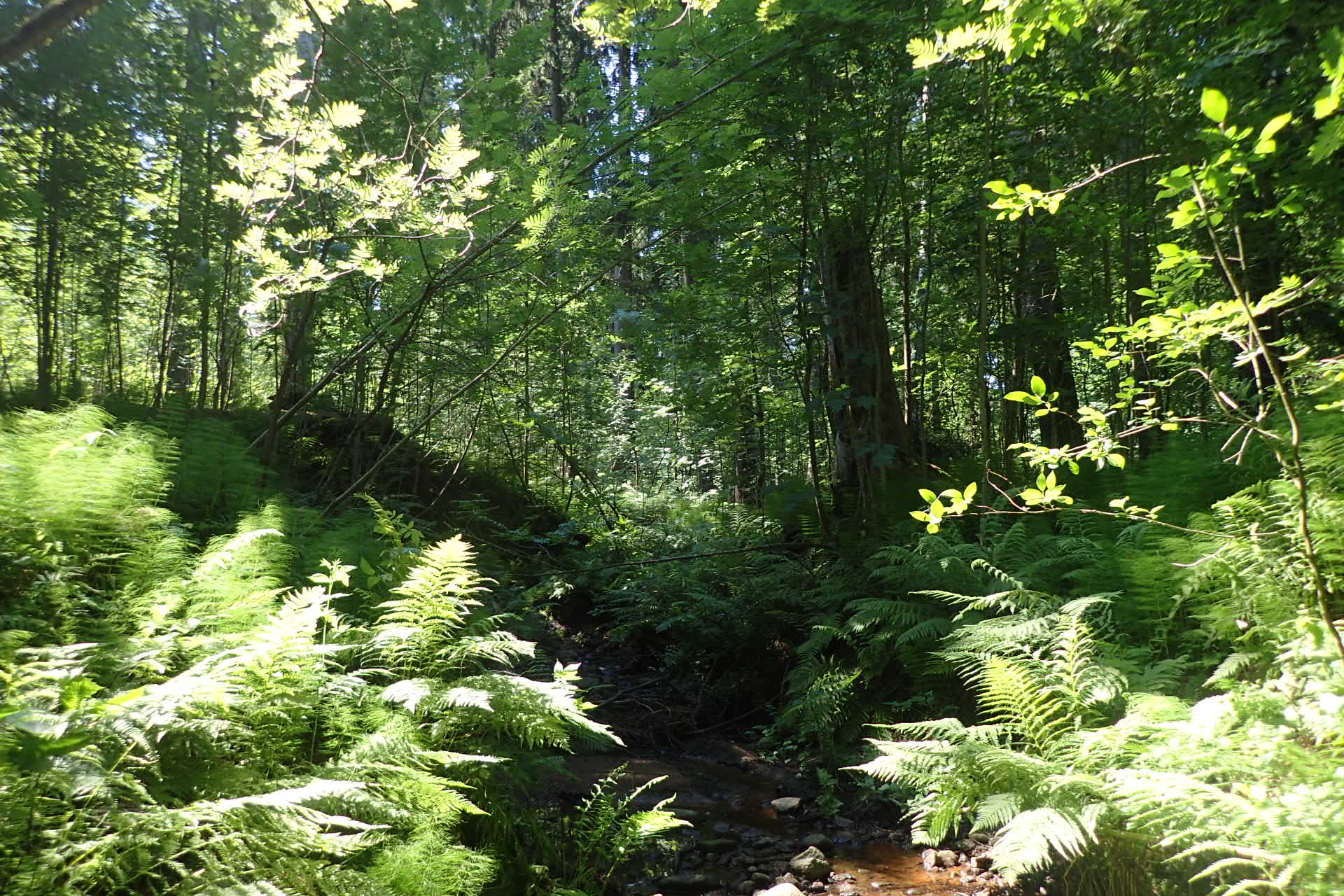 Kuva kohteesta v. 2024