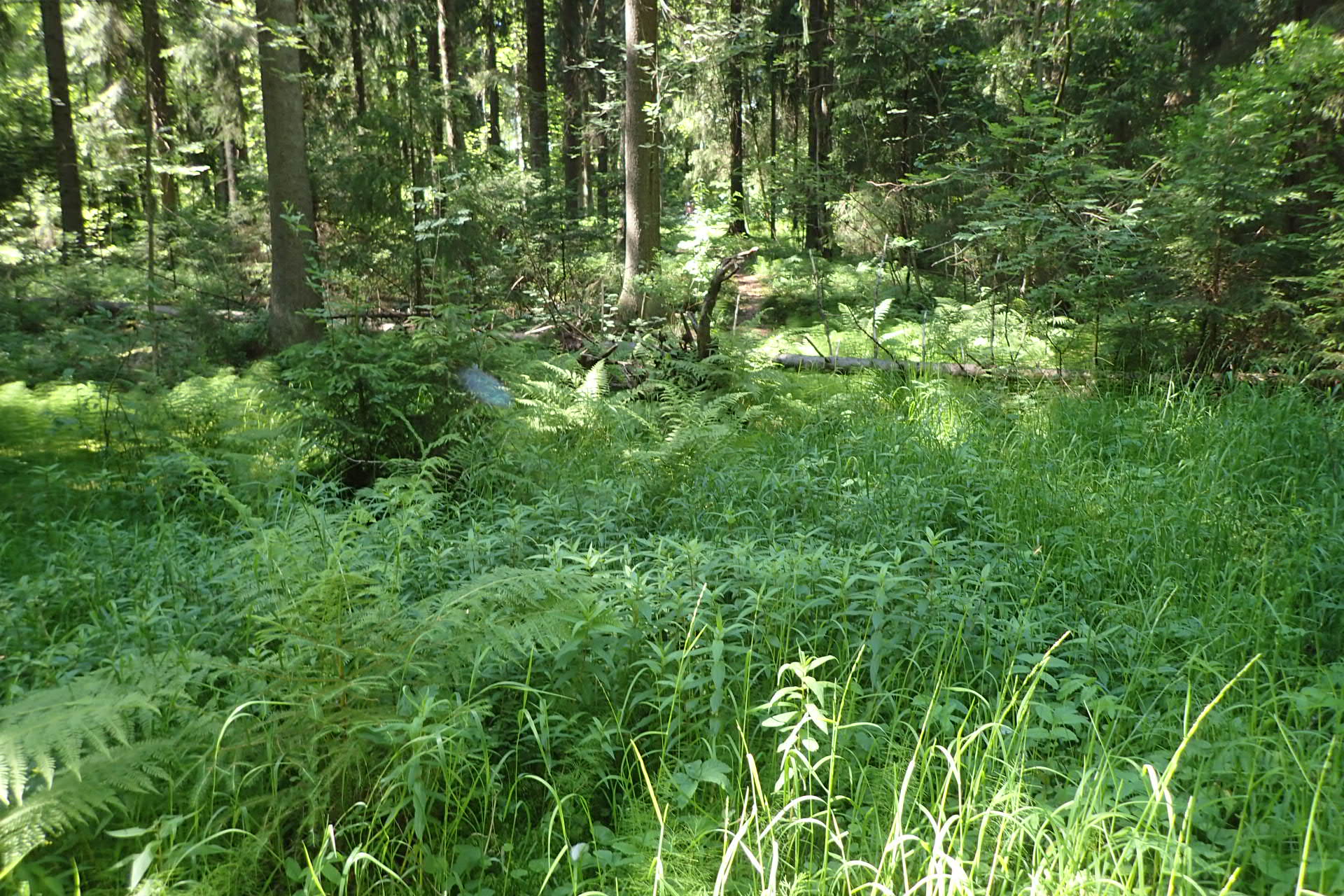 Kuva kohteesta v. 2024