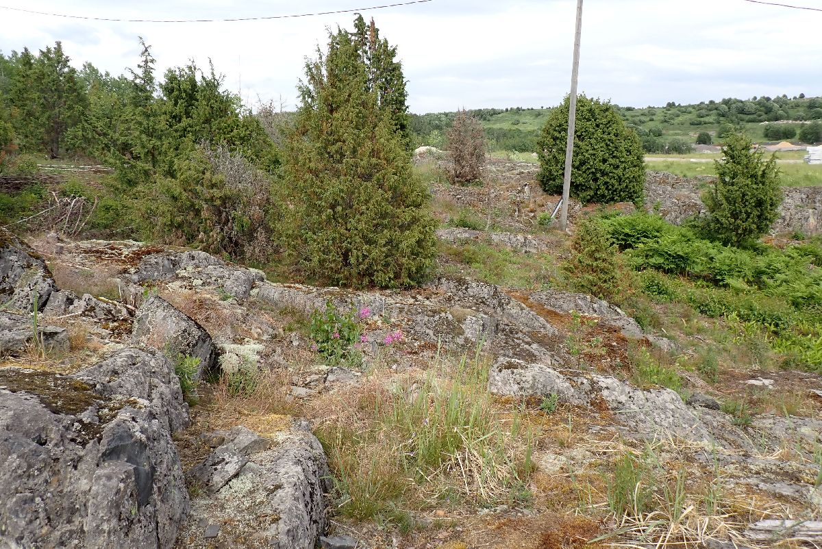 Kuva kohteesta v. 2024