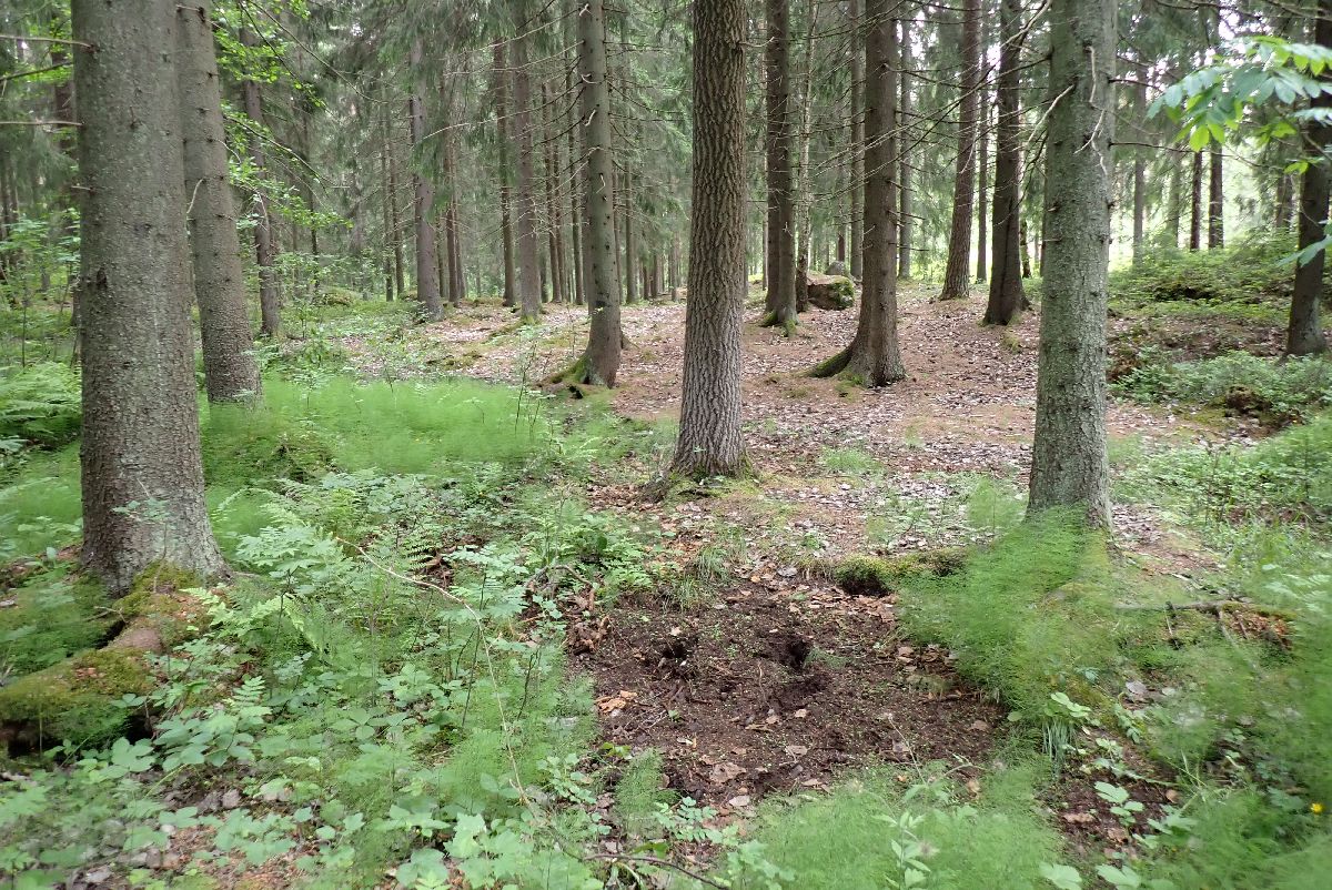 Kuva kohteesta v. 2024